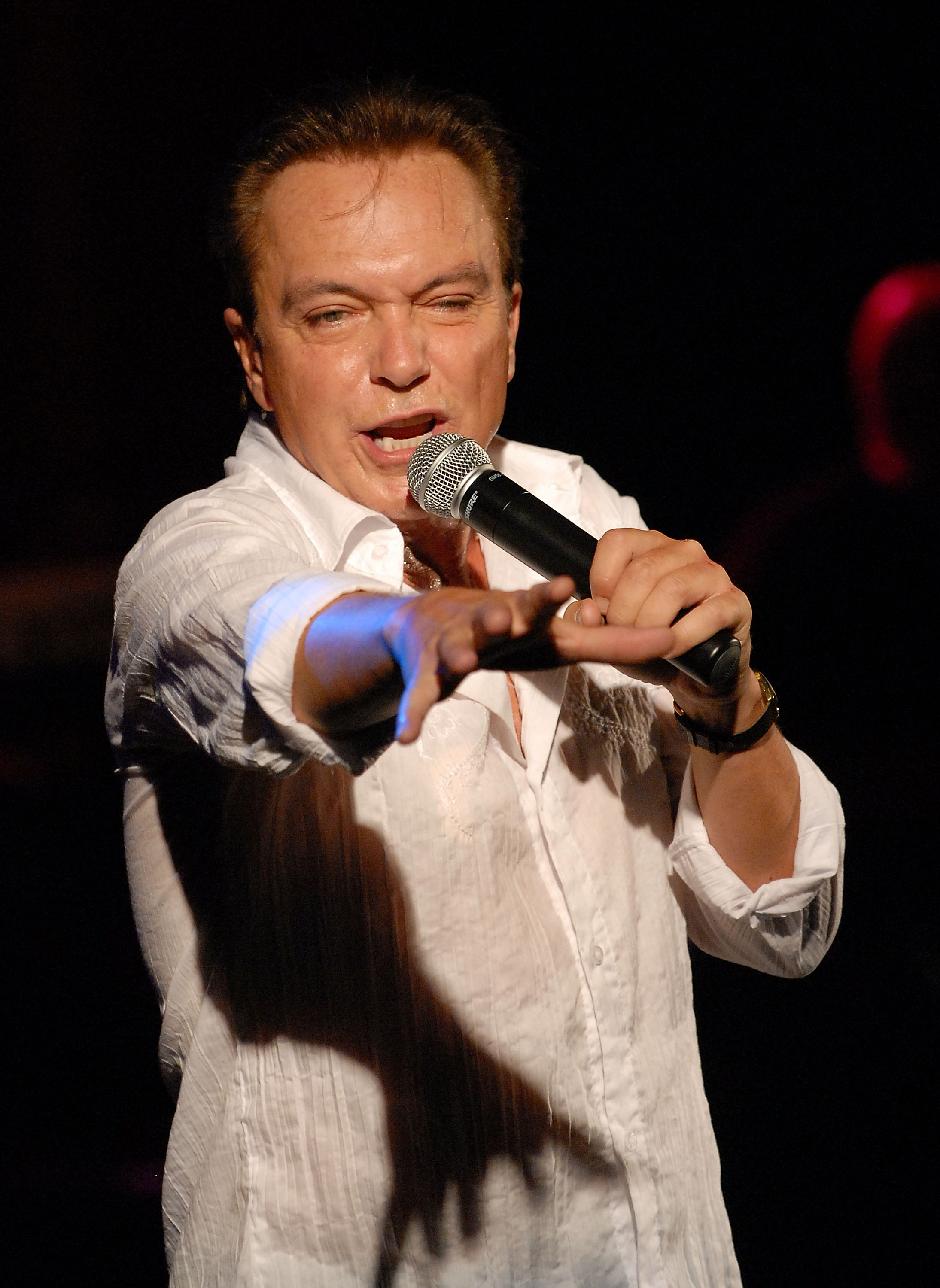 David Cassidy se produit lors du concert "The Ultimate Idols" le 13 septembre 2008 à Staten Island, New York. | Source : Getty Images