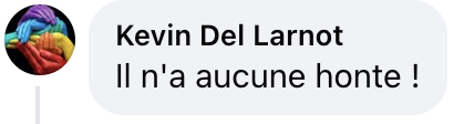 Capture d'écran du commentaire d'un internaute I Source : Facebook