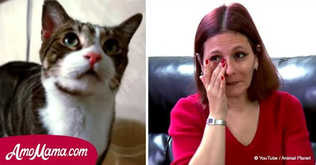Ce chat affolé a mené une mère jusqu'à la chambre de sa fille. En entrant, elle a découvert une scène terrifiante