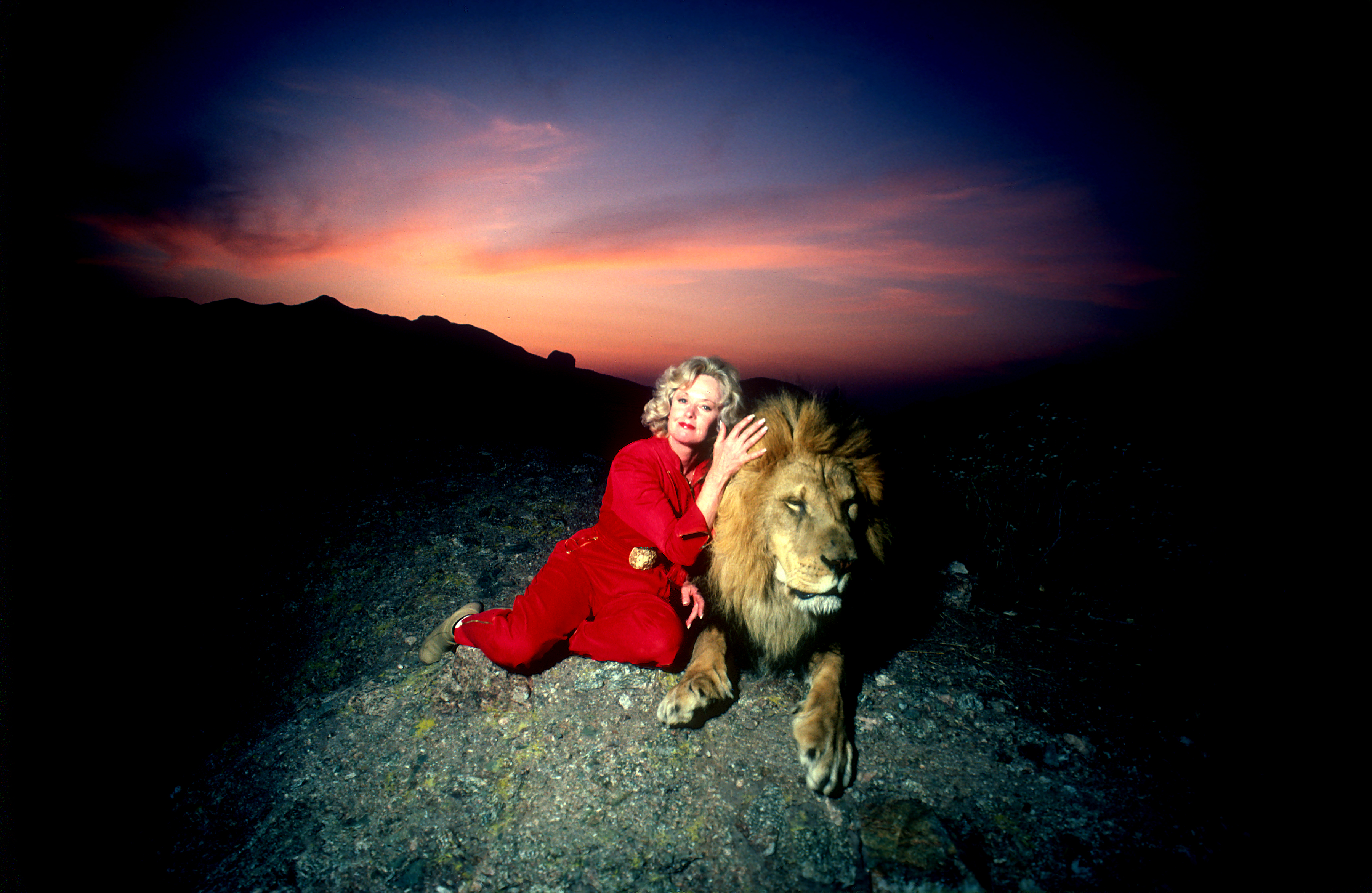 Tippi Hedren avec un lion mâle adulte sur une colline surplombant le flanc de montagne de sa réserve animale de Saugus, en Californie, le 16 novembre 1983. | Source : Getty Images