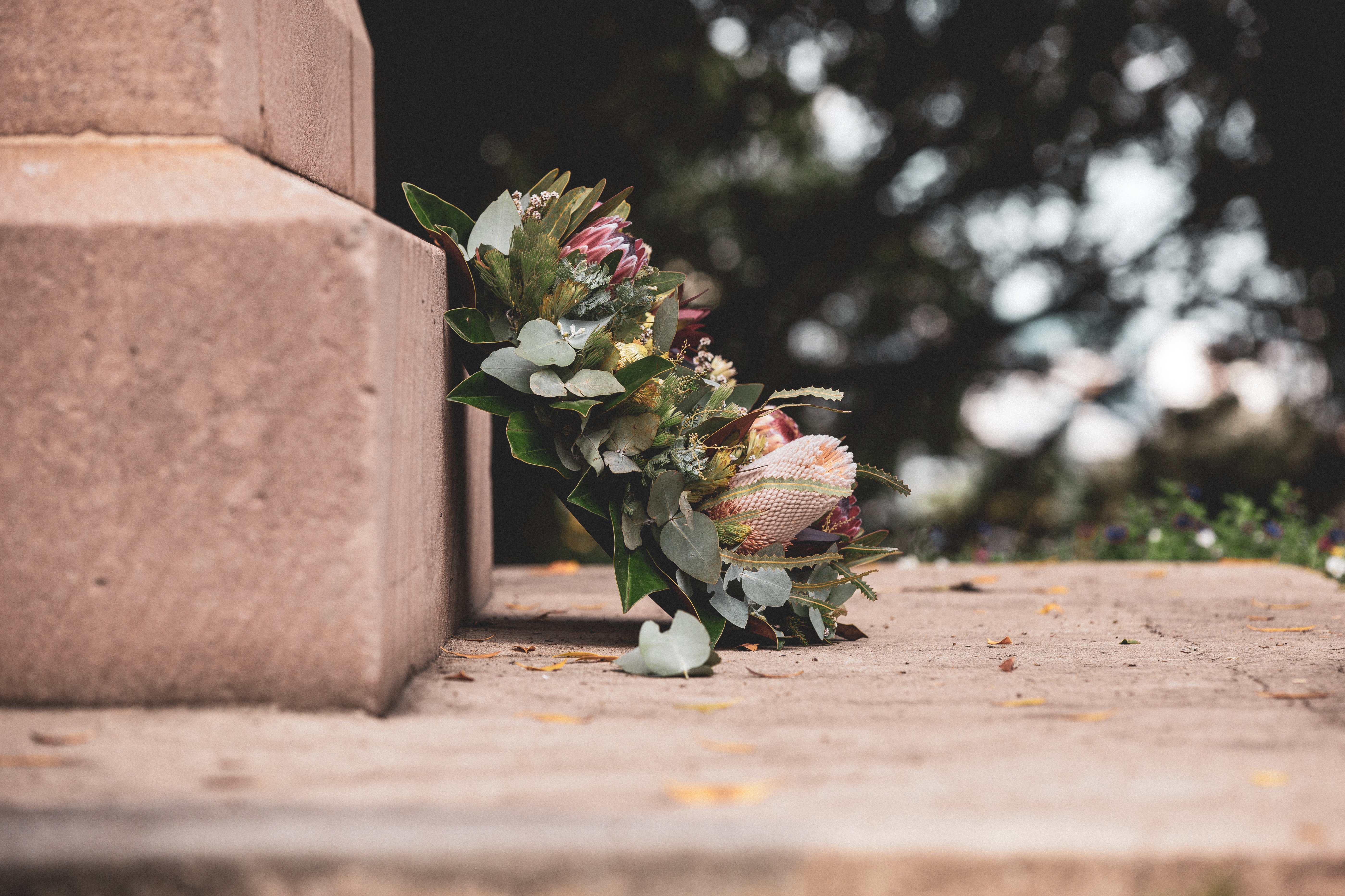 Thelma ne pouvait pas croire que ses fleurs avaient non seulement survécu, mais qu'elles étaient aussi en pleine floraison | Source : Unsplash