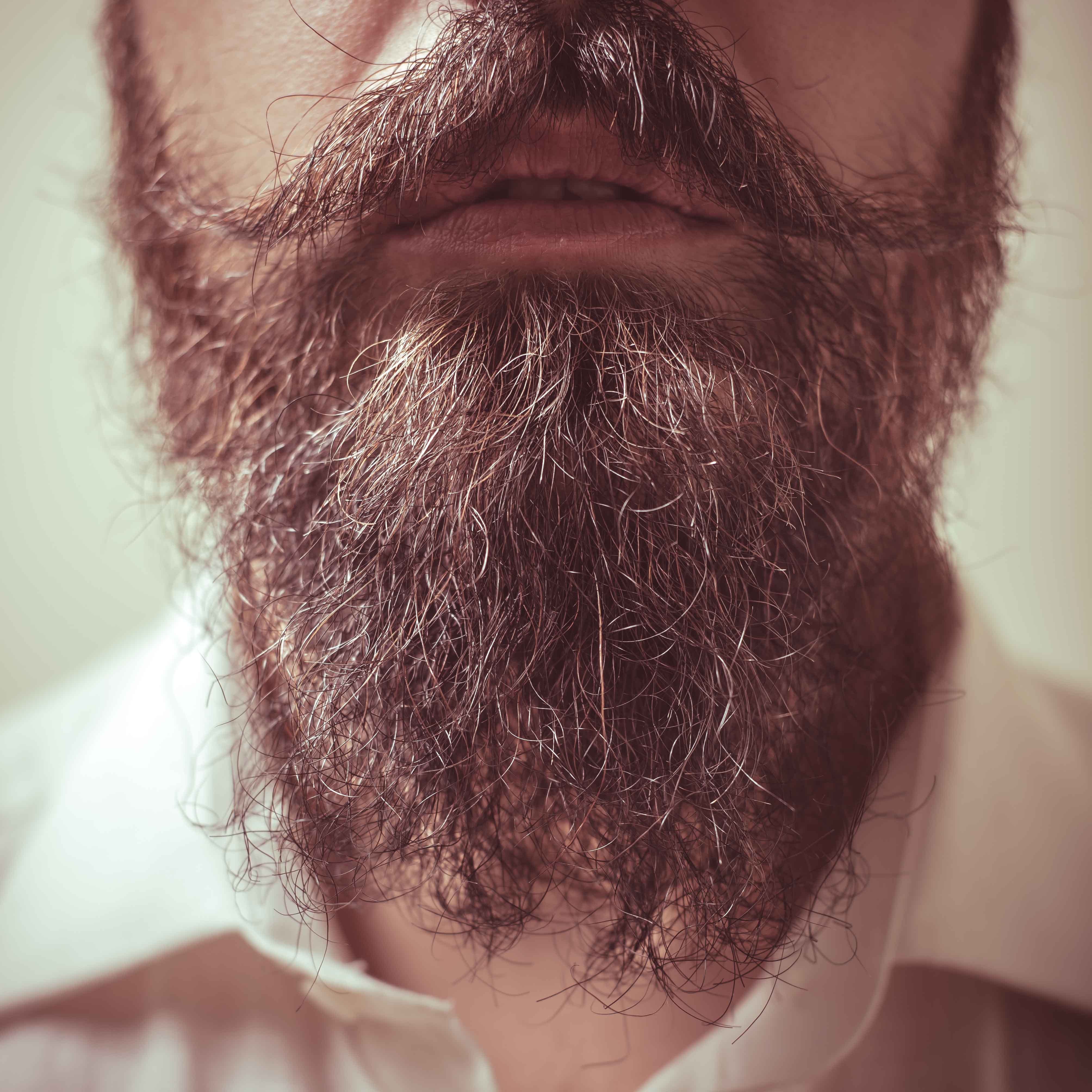 Une barbe de près | Source : Shutterstock