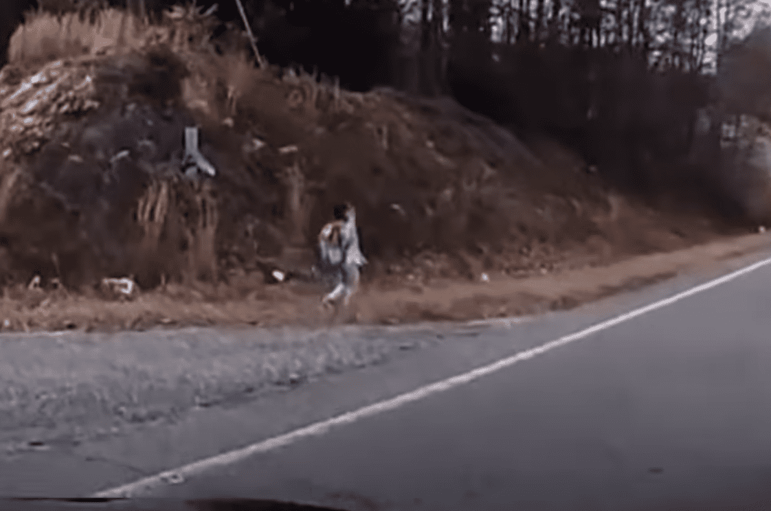 La caméra du tableau de bord montre une petite fille errant sur une autoroute très fréquentée. | Source : youtube.com/Inside Edition    