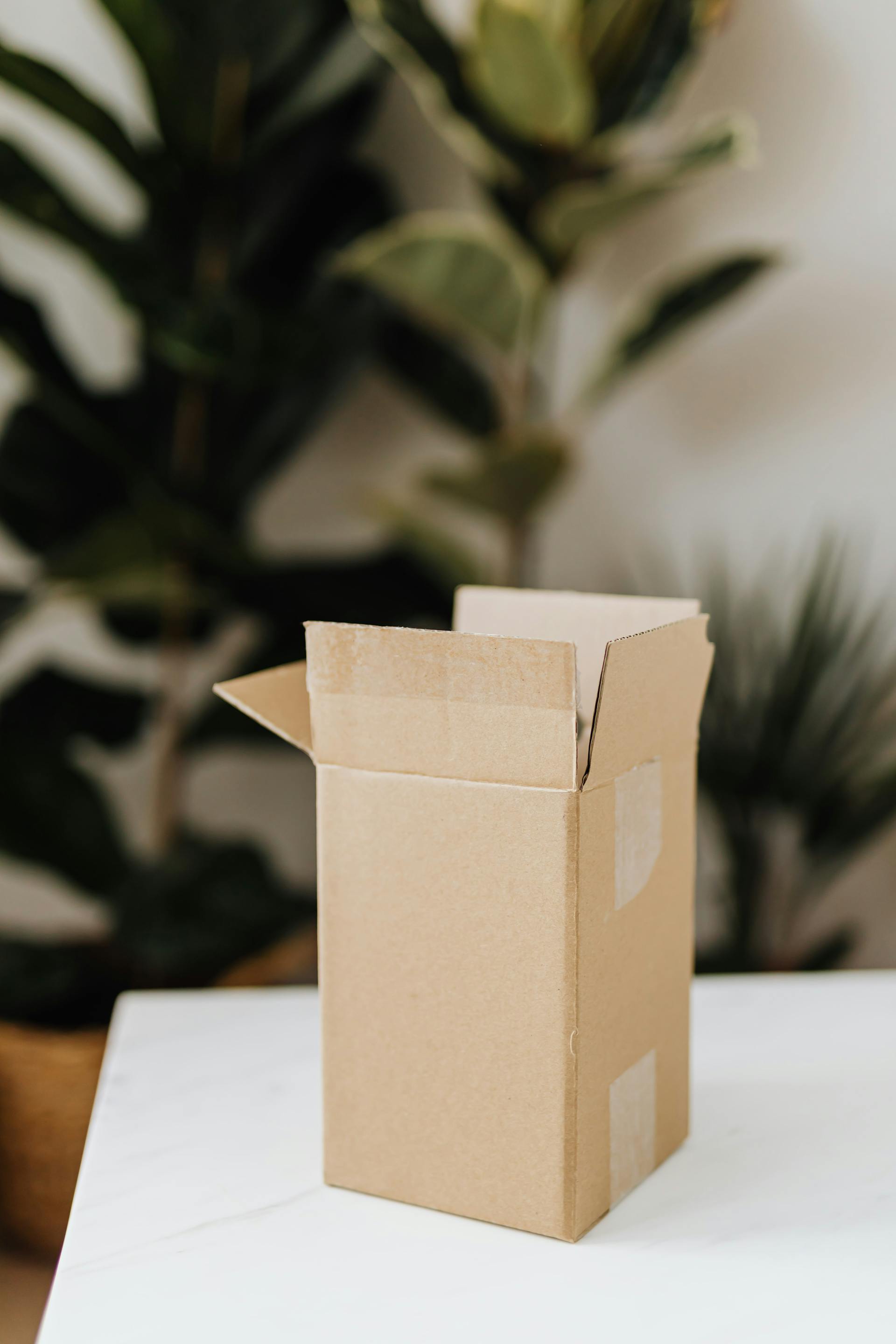 Une boîte en carton sur une table | Source : Pexels