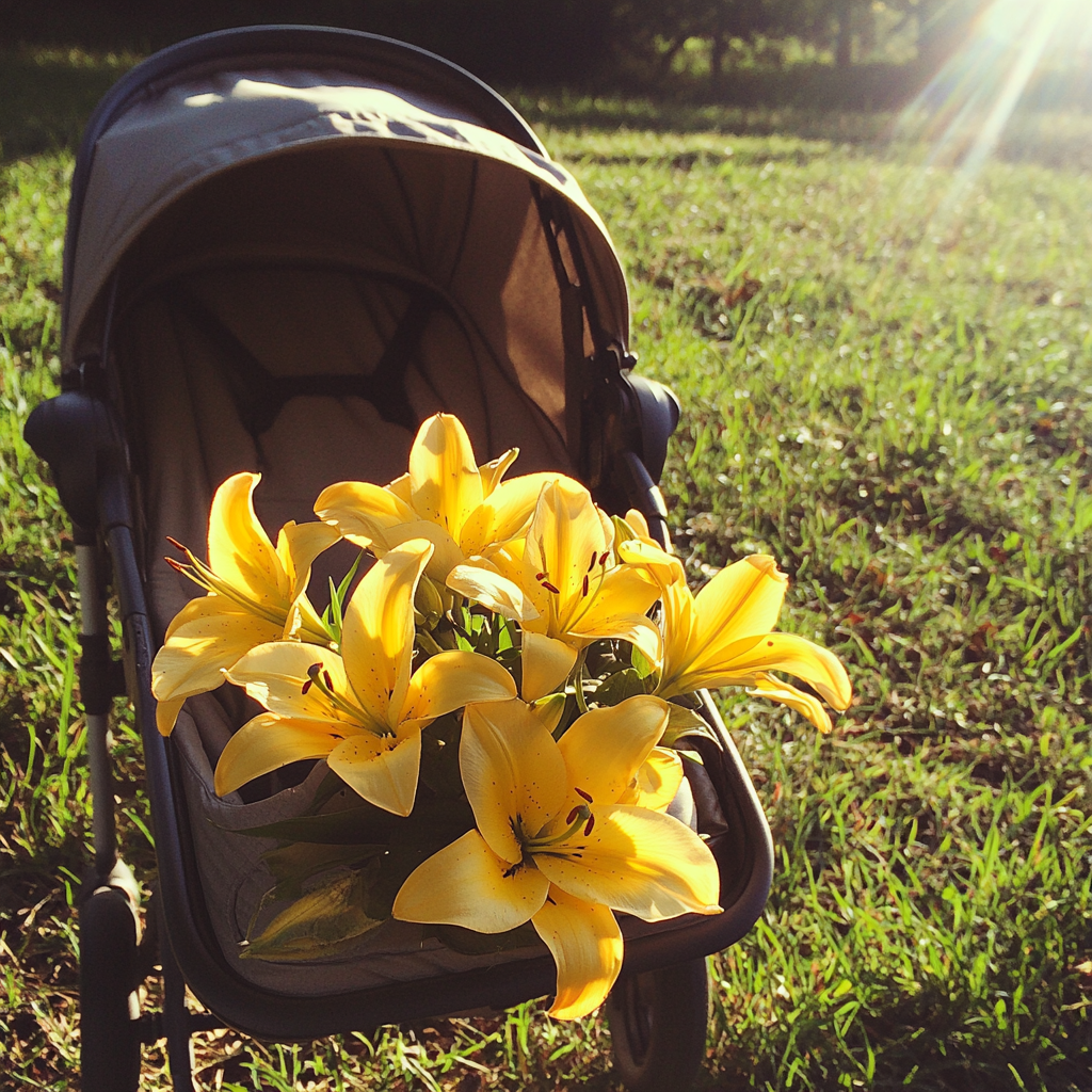 Une poussette avec des lys jaunes | Source : Midjourney