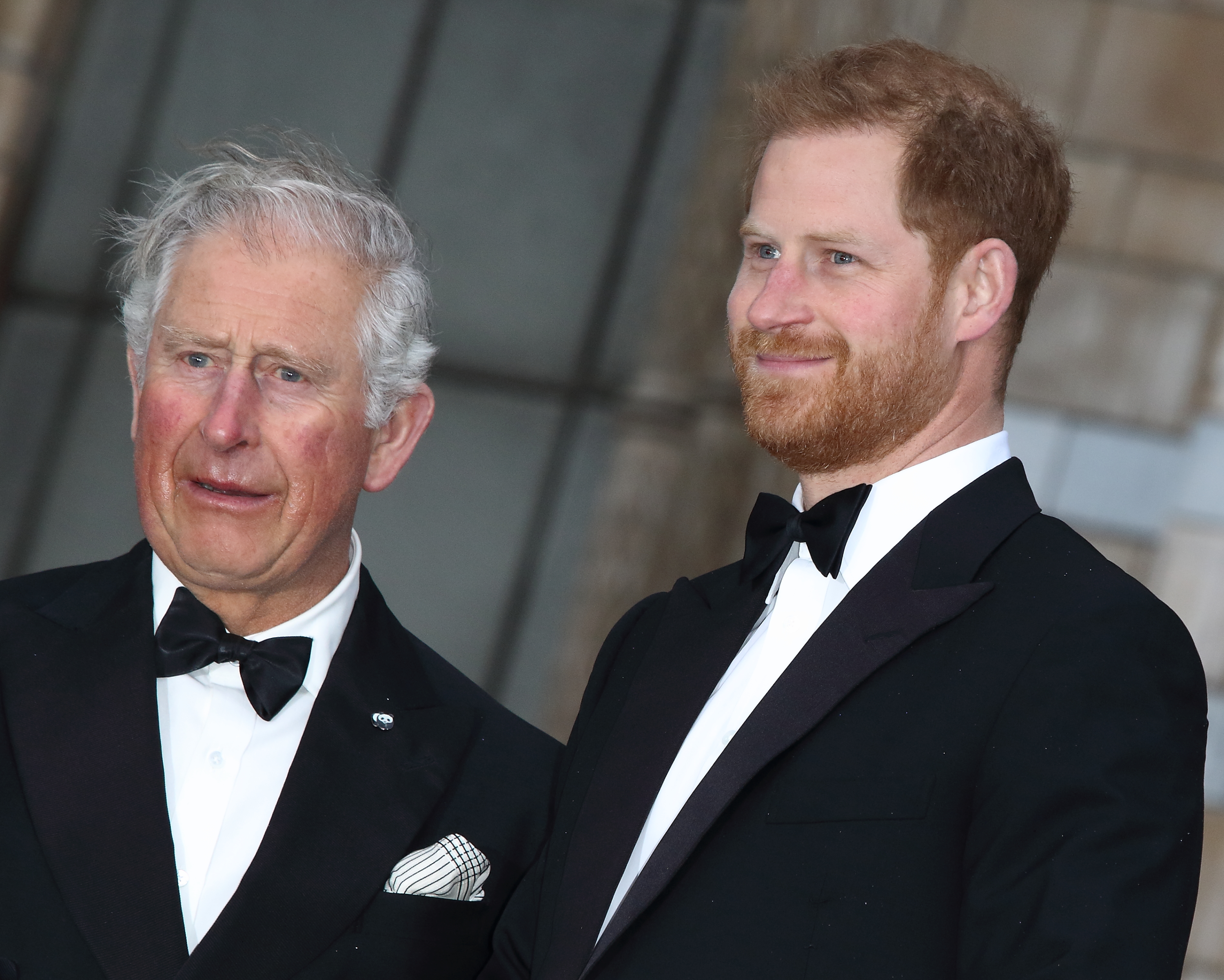 Le roi Charles III et le prince Harry lors de la première mondiale de "Our Planet" de Netflix au Musée d'histoire naturelle de Kensington, en Angleterre, le 4 avril 2019. | Source : Getty Images