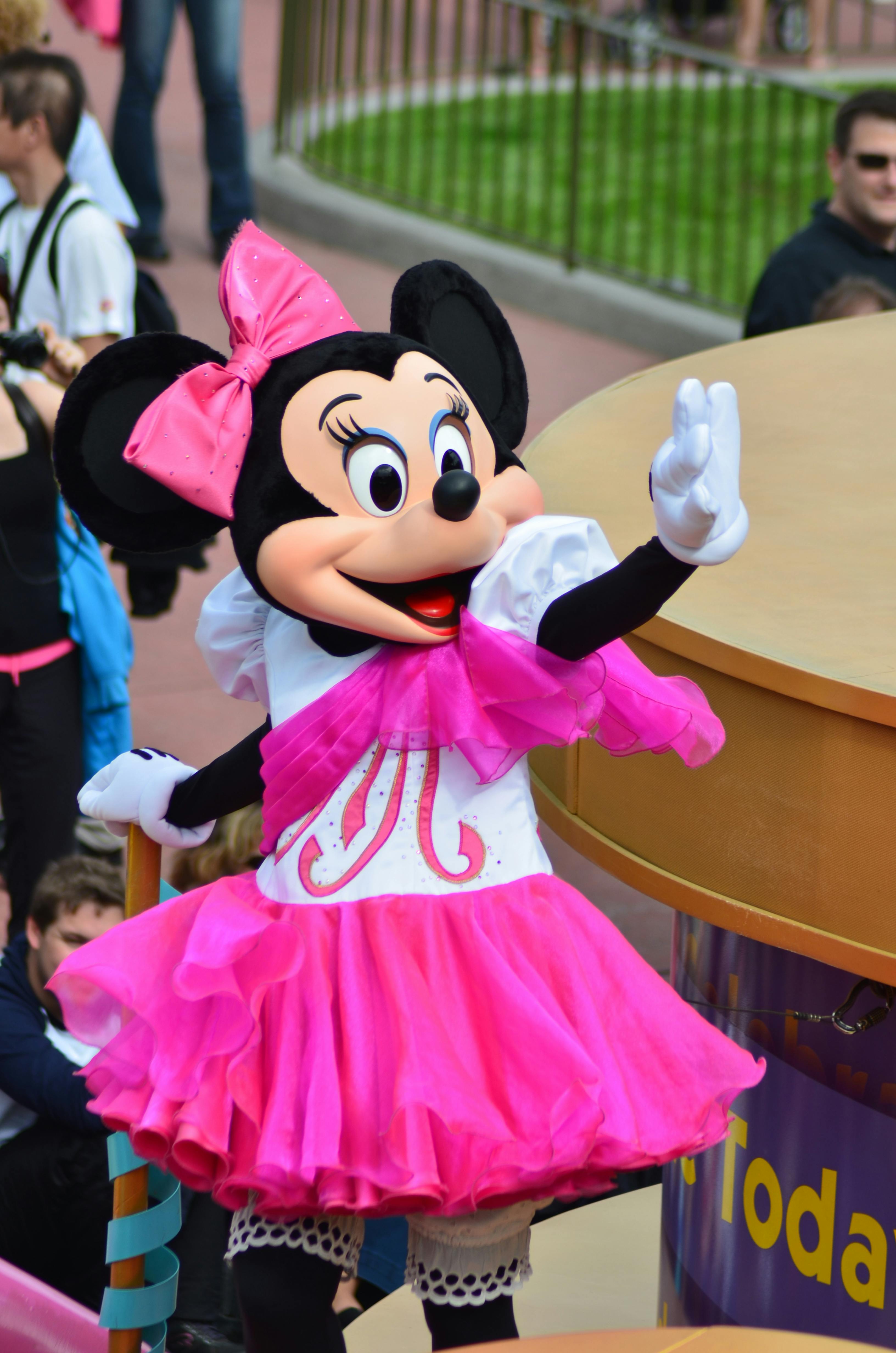 Une personne vêtue d'un costume de Minnie Mouse dans un parc d'attractions | Source : Pexels