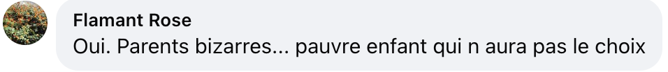 Commentaire d'internaute sur le prénom du bébé | Source : capture Instagram@laubsd