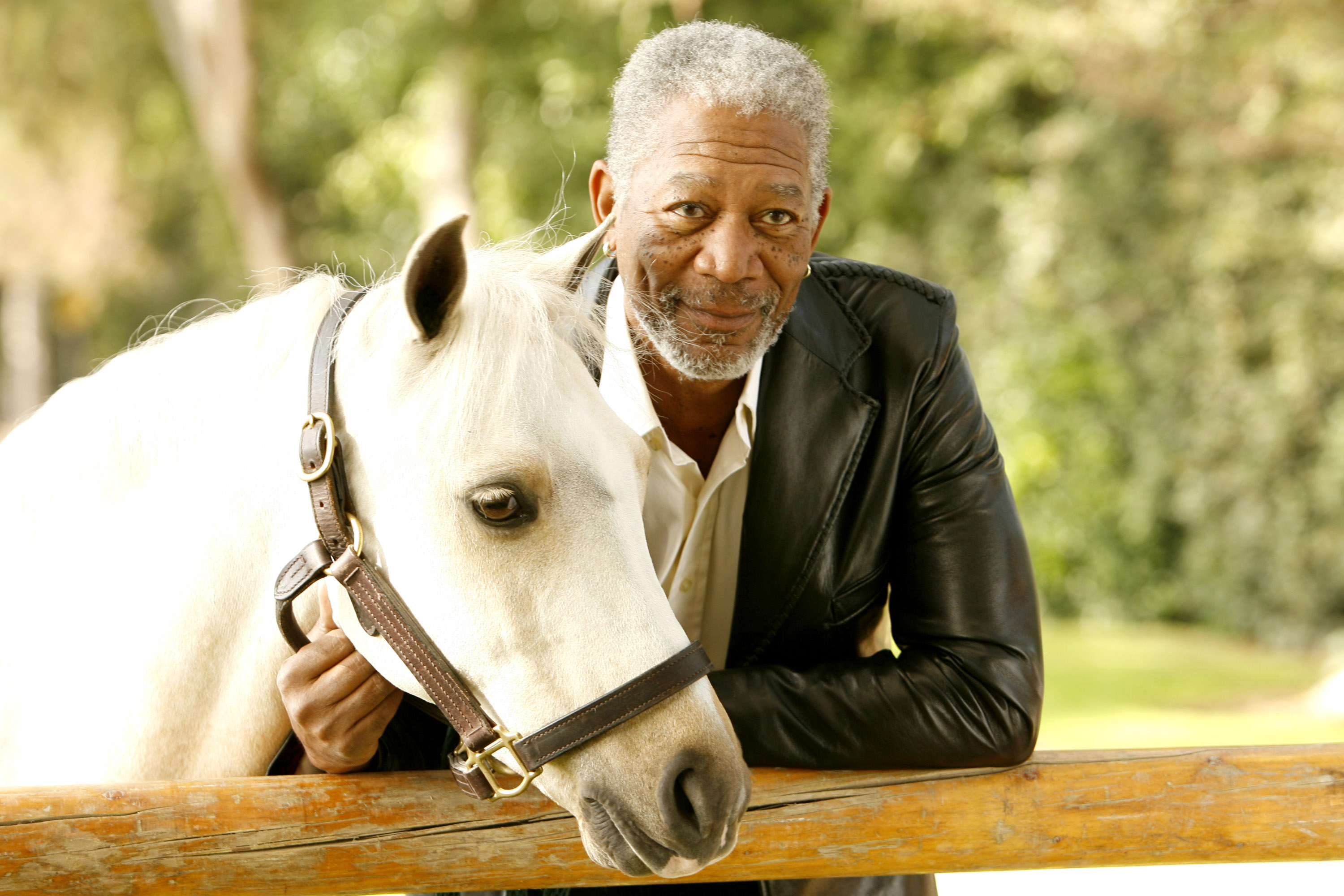 Morgan Freeman lors d'une séance de photos de couverture pour l'édition d'automne du magazine Luxury Equestrian Lifestyle "Show Circuit" le 8 octobre 2006 | Source : Getty Images