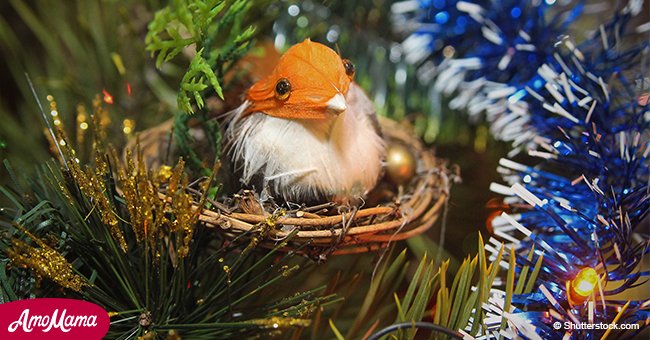 Voici ce que cela signifie si vous voyez un nid d'oiseau sur un arbre de Noël