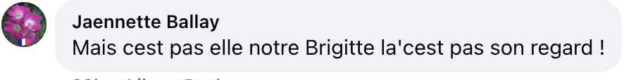 Commentaire d'un internaute | Source : Facebook/Télé Loisirs