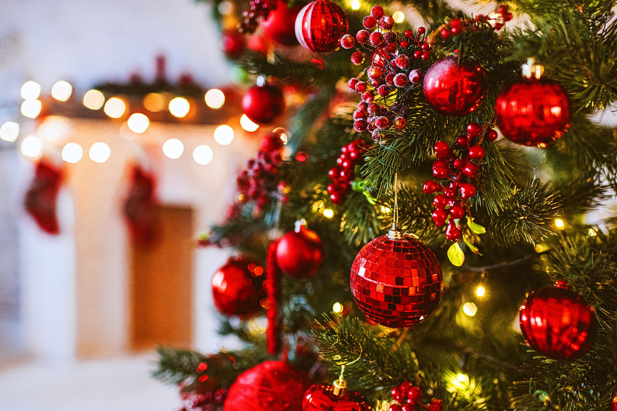 Un arbre de Noel. | Photo : Getty Images