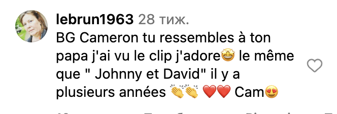 Commentaire d'internaute sur la ressemblance entre David Hallyday et Cameron | Source : Instagram