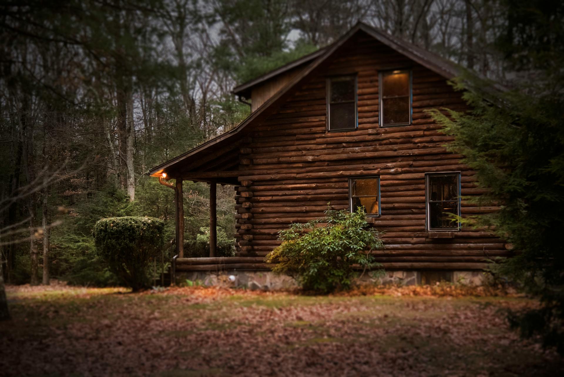 Une cabane | Source : Pexels