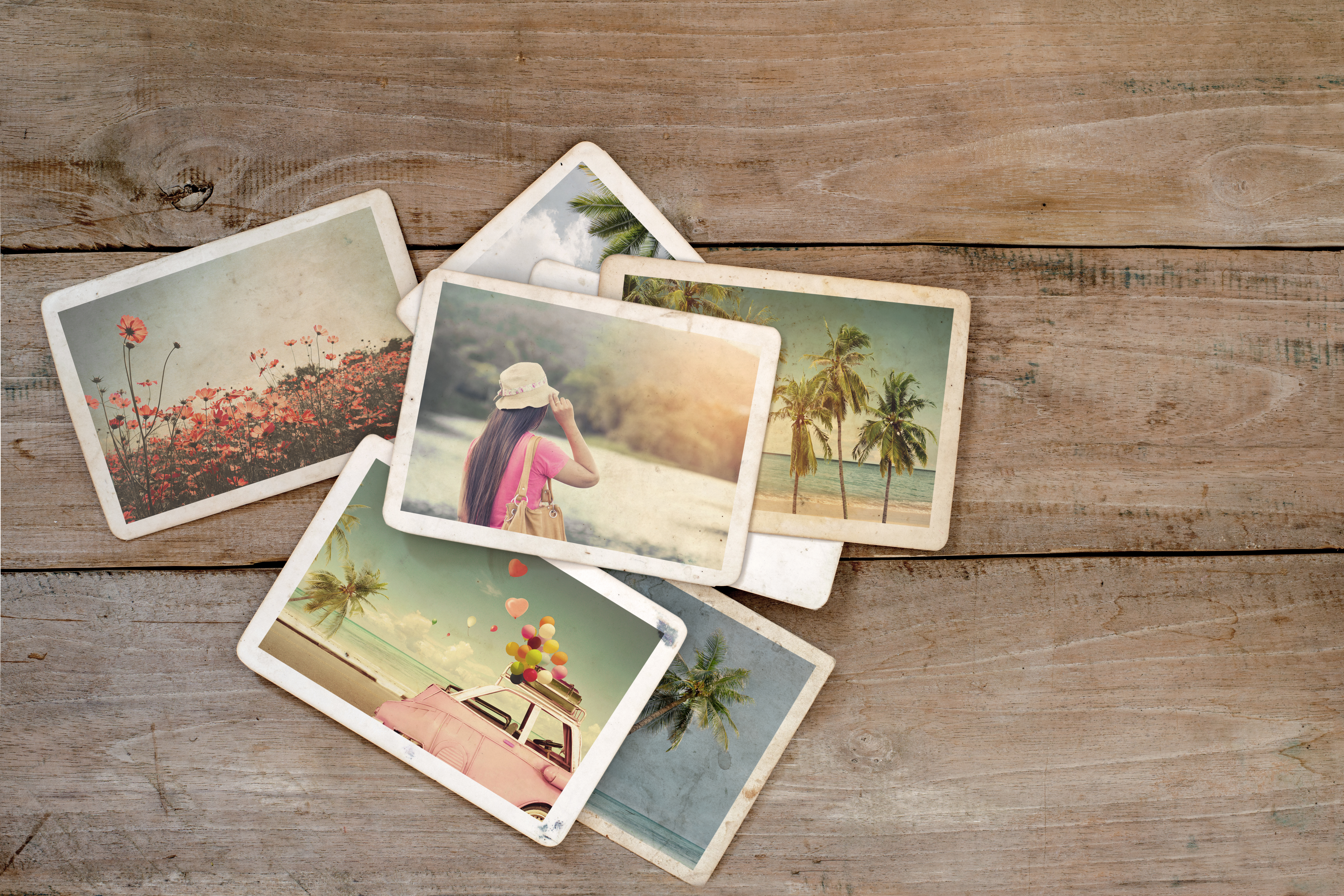 Álbum de fotos de verão |  Fonte: Shutterstock