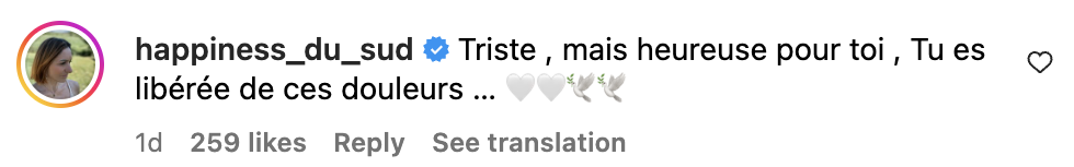 Commentaire d'internaute sur la disparition de Yanary Befort | Source : capture Instagram@_yanoubefort_