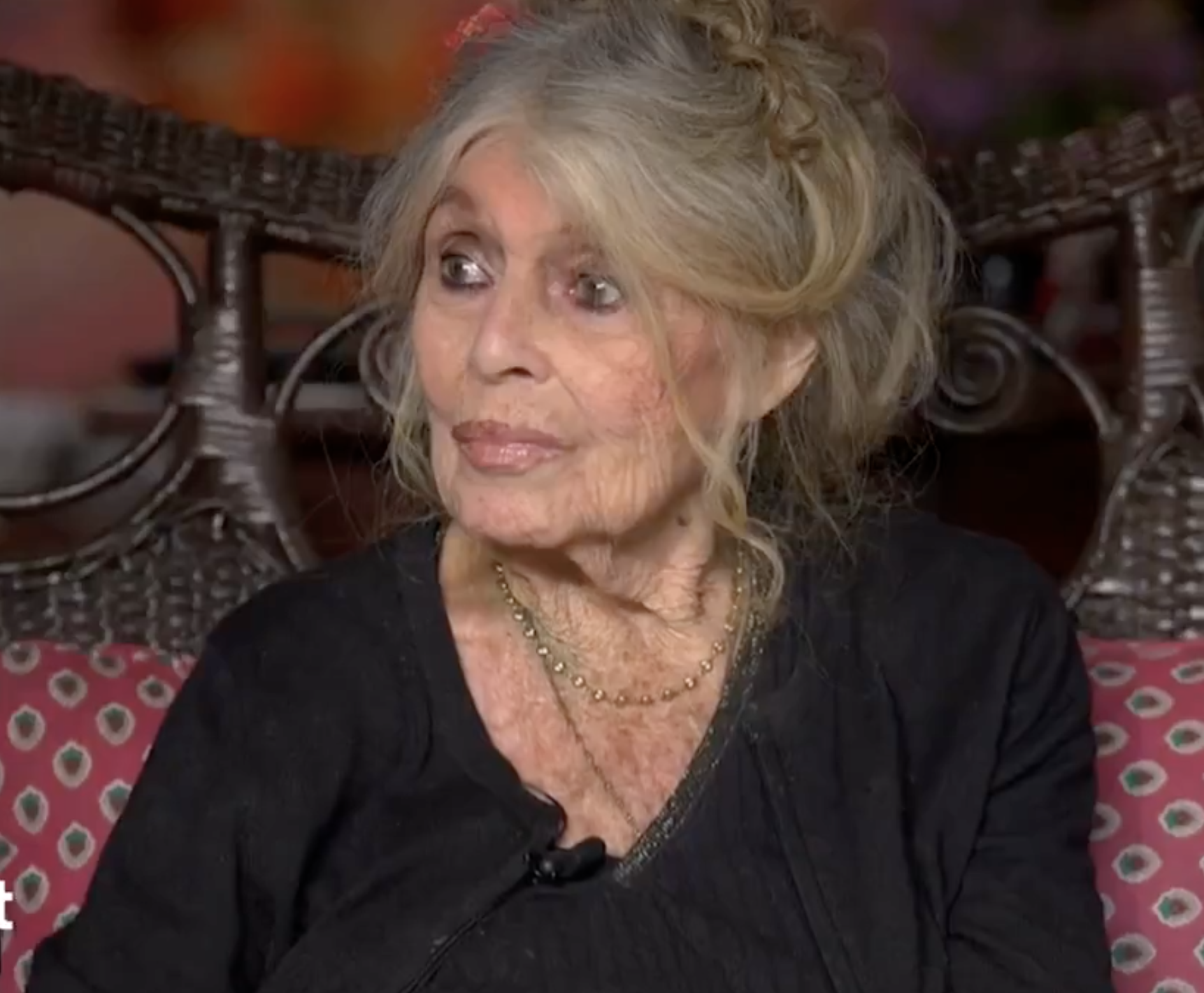 Brigitte Bardot | Source : capture youtube.com/BFMTV