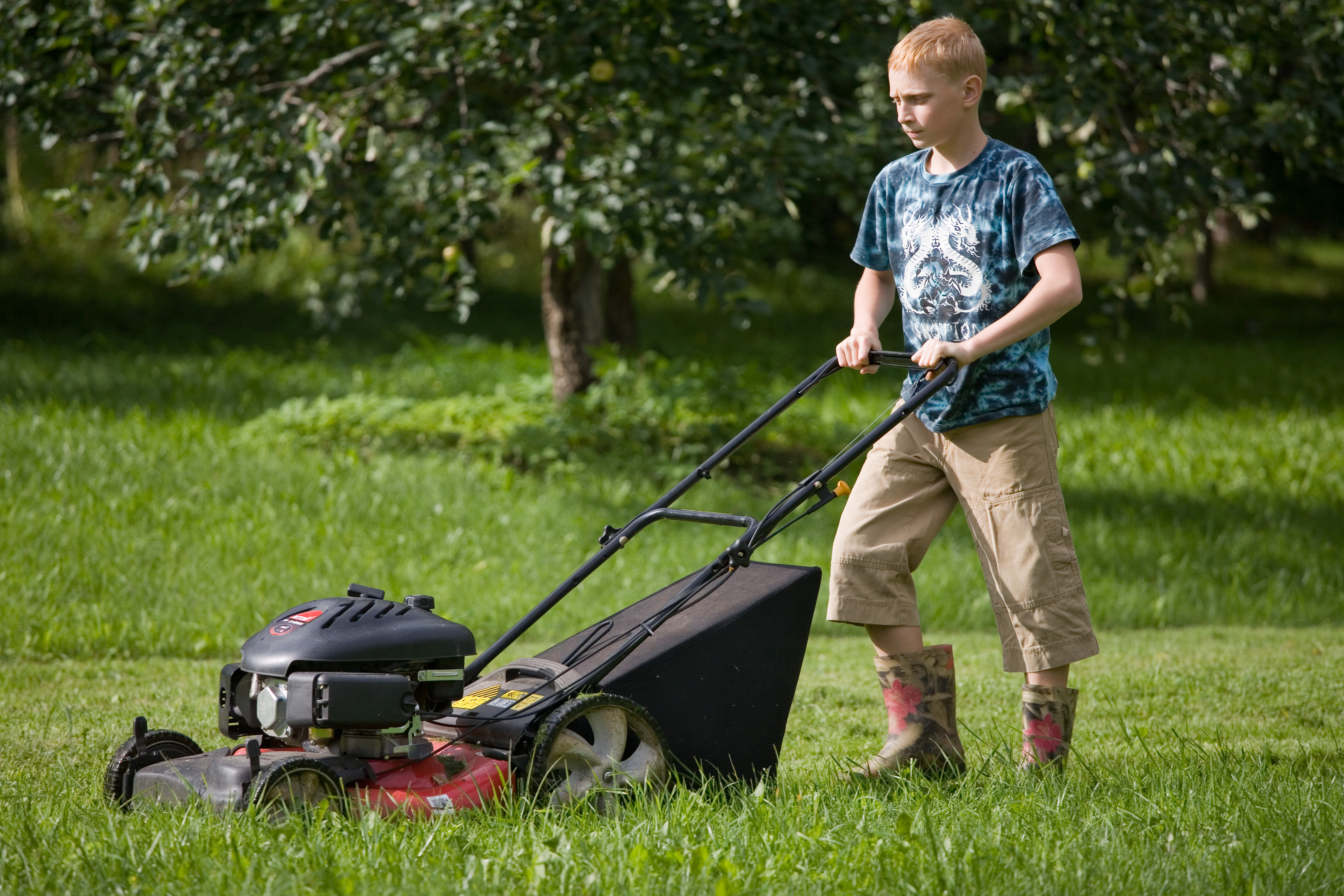 Un garçon en train de tondre une pelouse | Source : Shutterstock