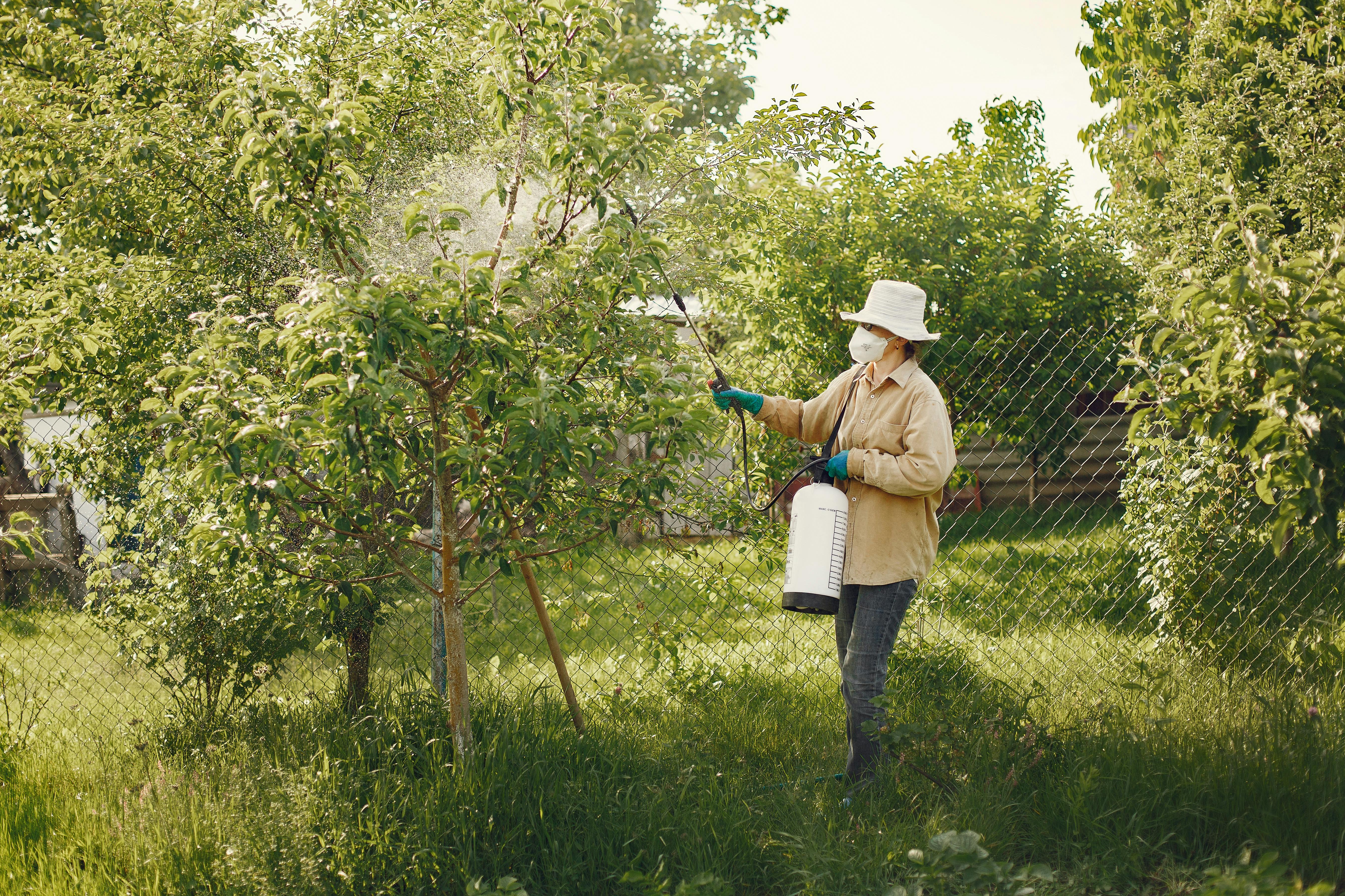 Une femme pulvérise un arbre dans un jardin avec des pesticides | Source : Pexels