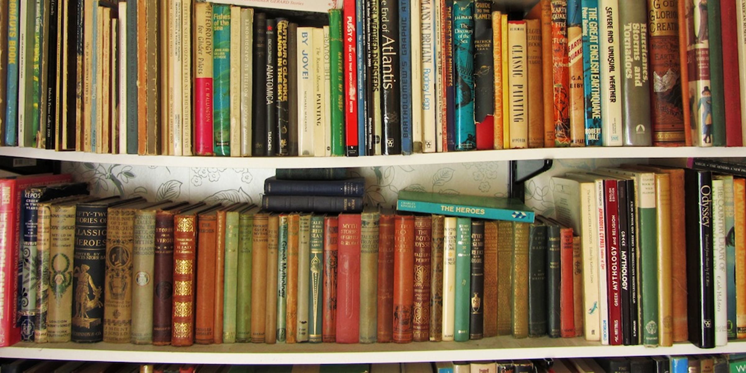 Livres sur une étagère | Source : Flickr