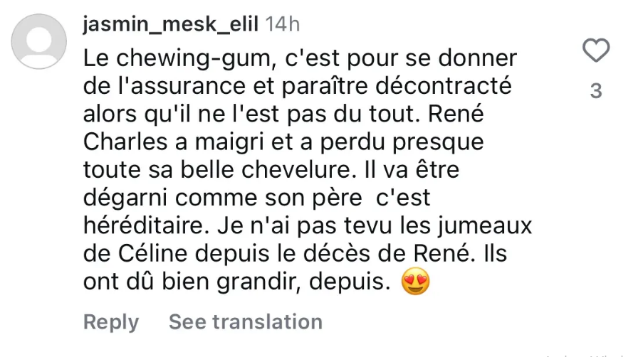 Commentaire d'un internaute | Source : capture Instagram