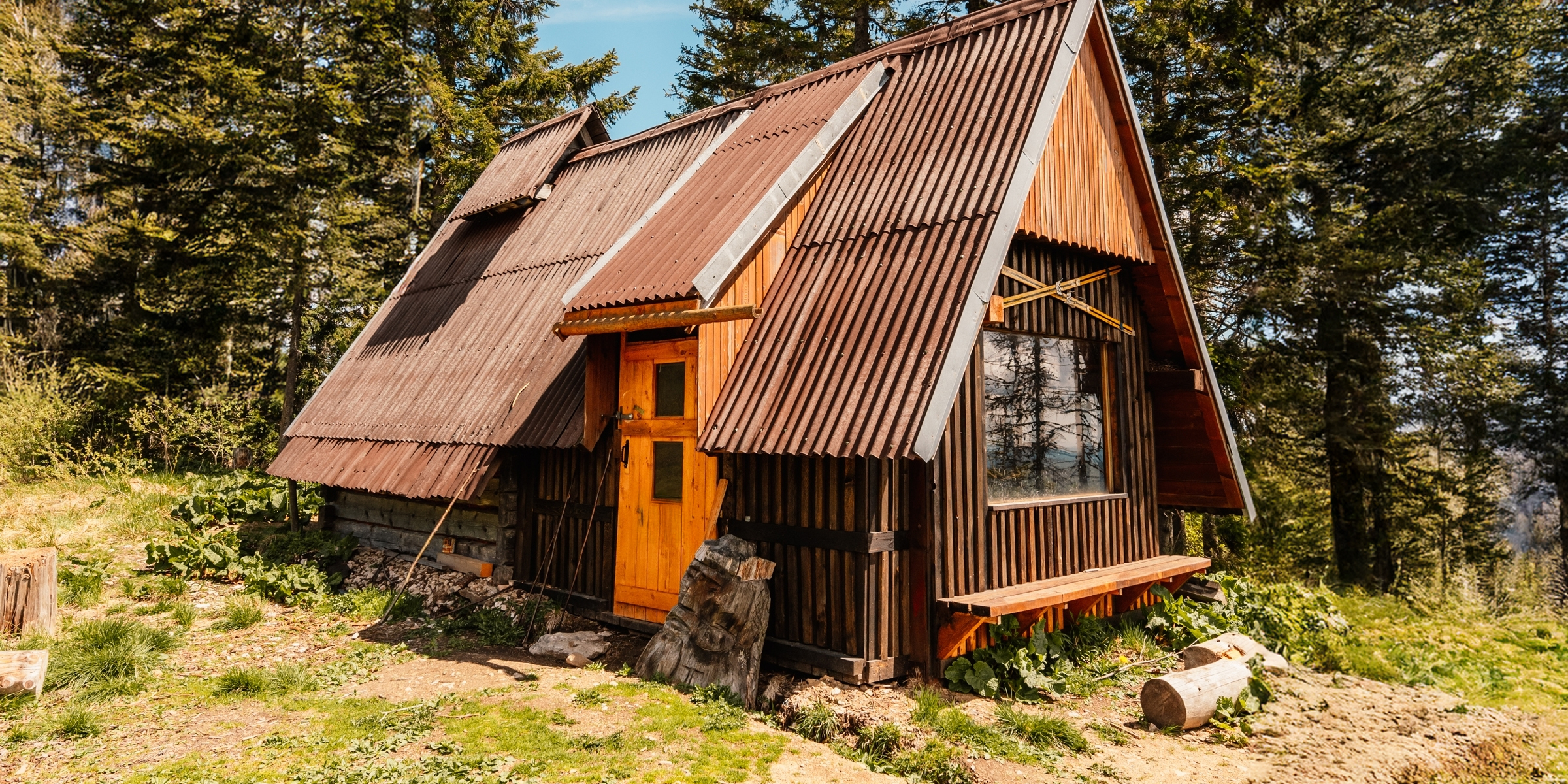 Une cabane rustique nichée dans une clairière de la forêt, entourée de grands pins et d'une douce lumière d'après-midi | Source : Shutterstock