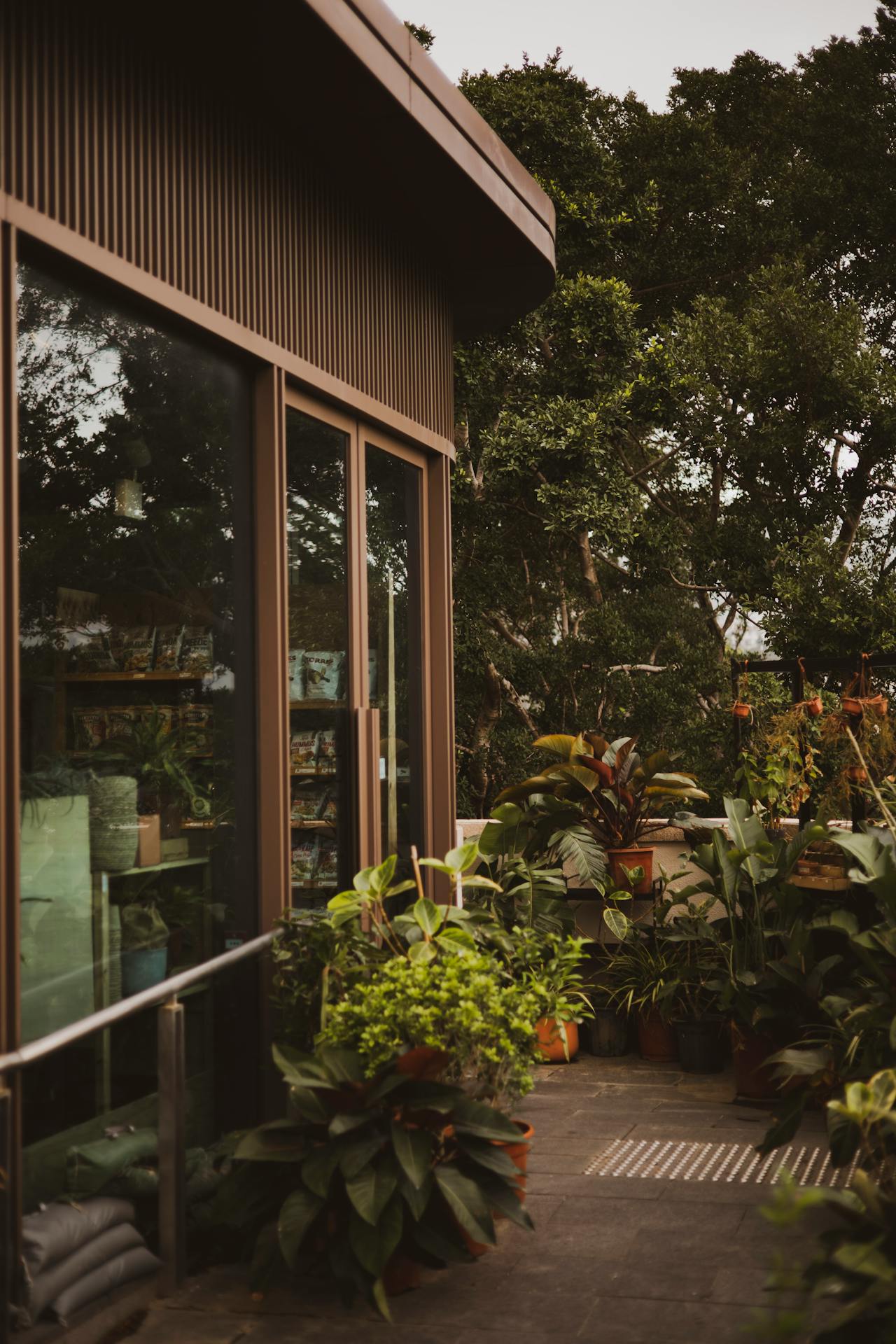 Plantes en pot sur le porche d'entrée | Source : Pexels