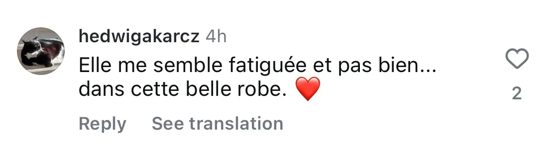 Commentaire d'un internaute sur l'apparition de Céline Dion à Riyad | Source : capture Instagram