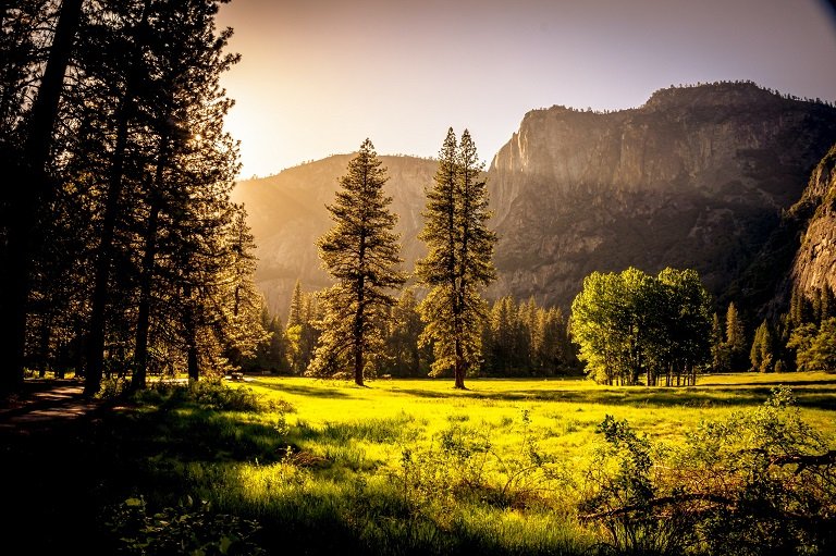 Un coucher de soleil à la forêt | Photo : Pexels.