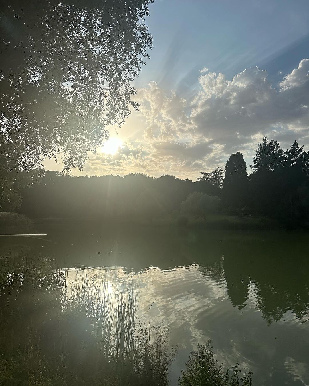 Intérieur de la propriété d'Alain Delon, La Brulerie, à Douchy, dans le centre de la France, d'après un post Instagram, daté du 1er août 2024. | Source : Instagram/anouchkadelon/