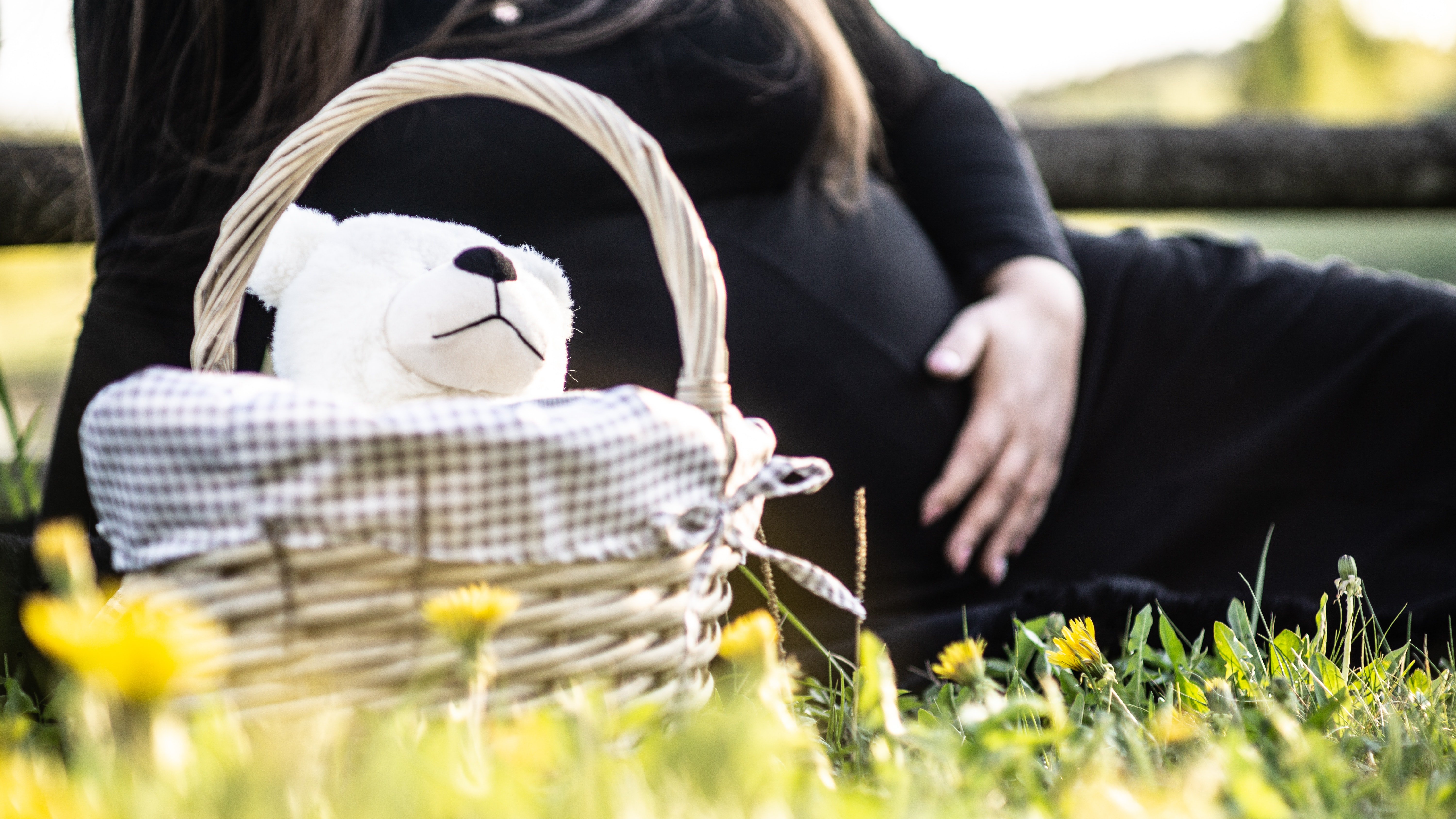 Femme enceinte assise sur l'herbe près d'un panier de pique-nique. | Source : Pexels