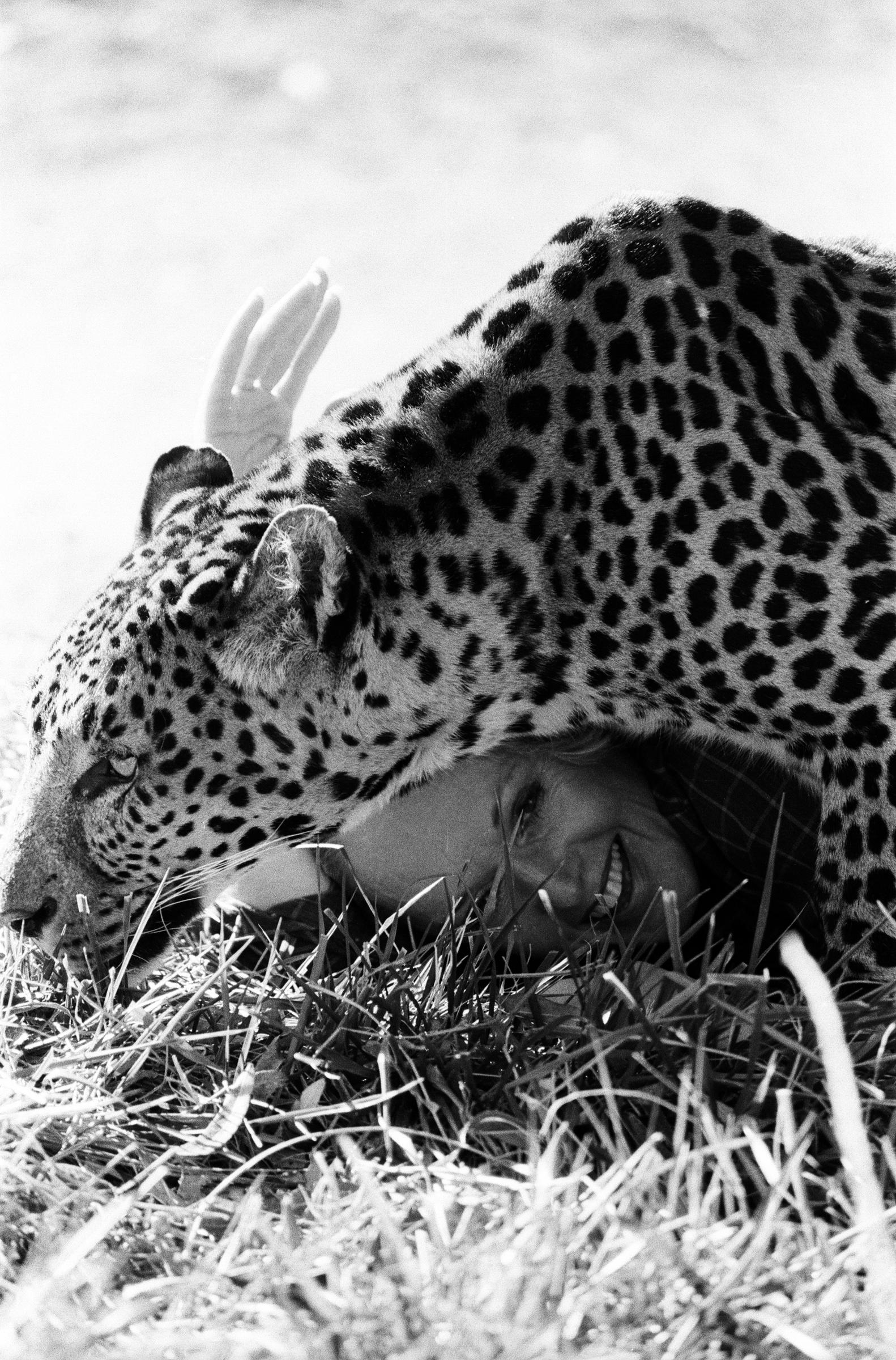 Tippi Hedren avec ses animaux dans leur complexe de la vallée de San Fernando, le 25 janvier 1982. | Source : Getty Images