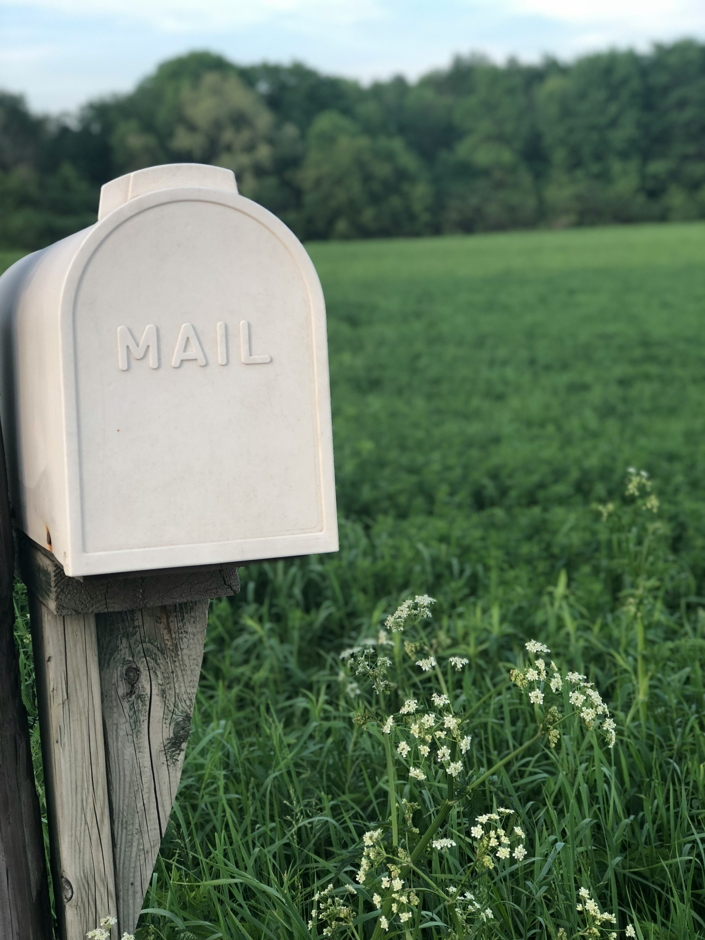 Une boîte aux lettres en extérieur | Source : Unsplash