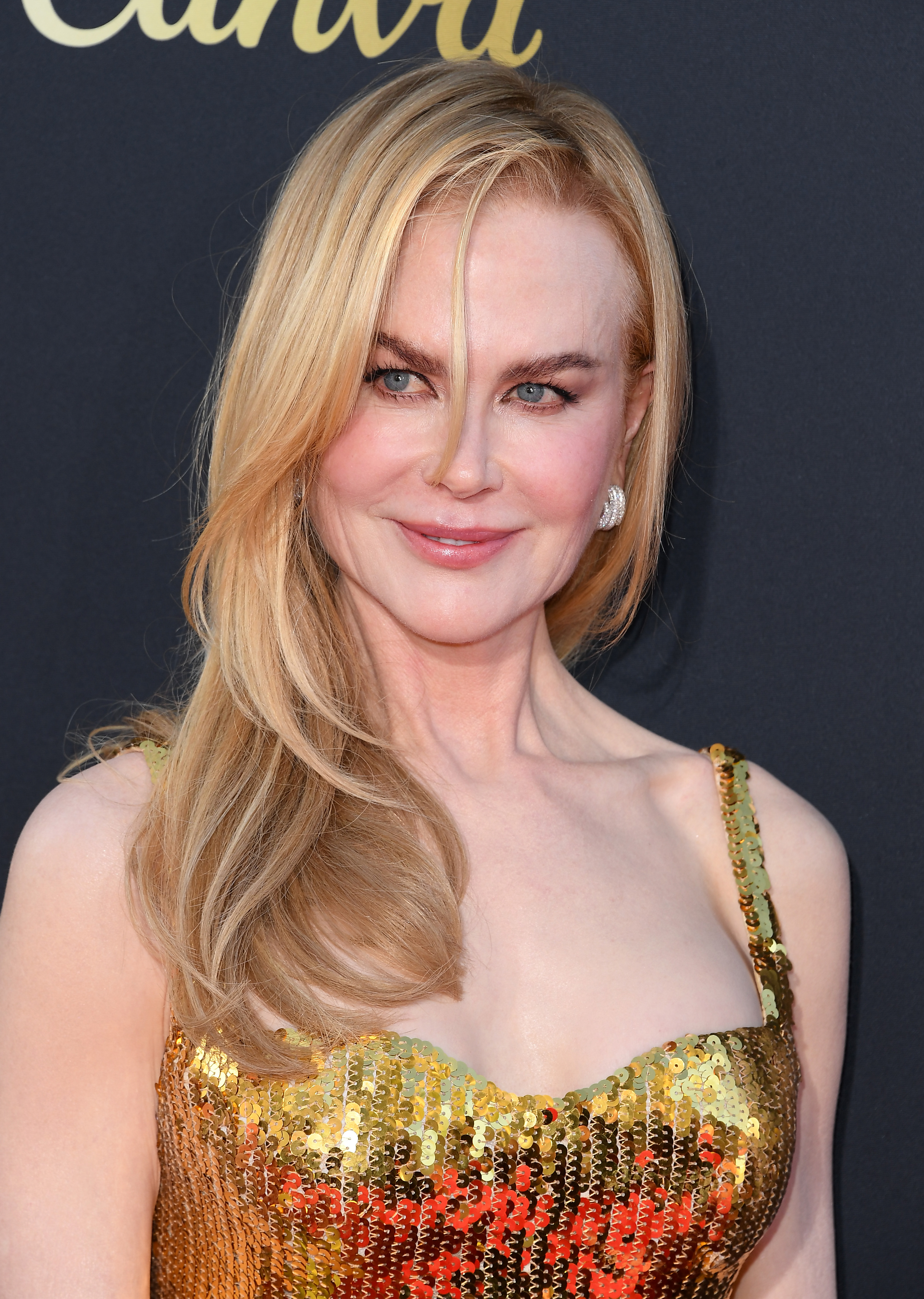 Nicole Kidman lors du 49e gala de remise des prix AFI pour l'ensemble de sa carrière à Hollywood, en Californie, le 27 avril 2024. | Source : Getty Images