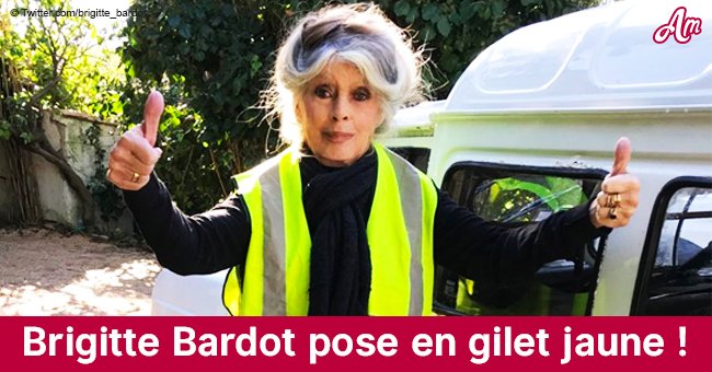 Brigitte Bardot apparaît en gilet jaune en signe de son soutien