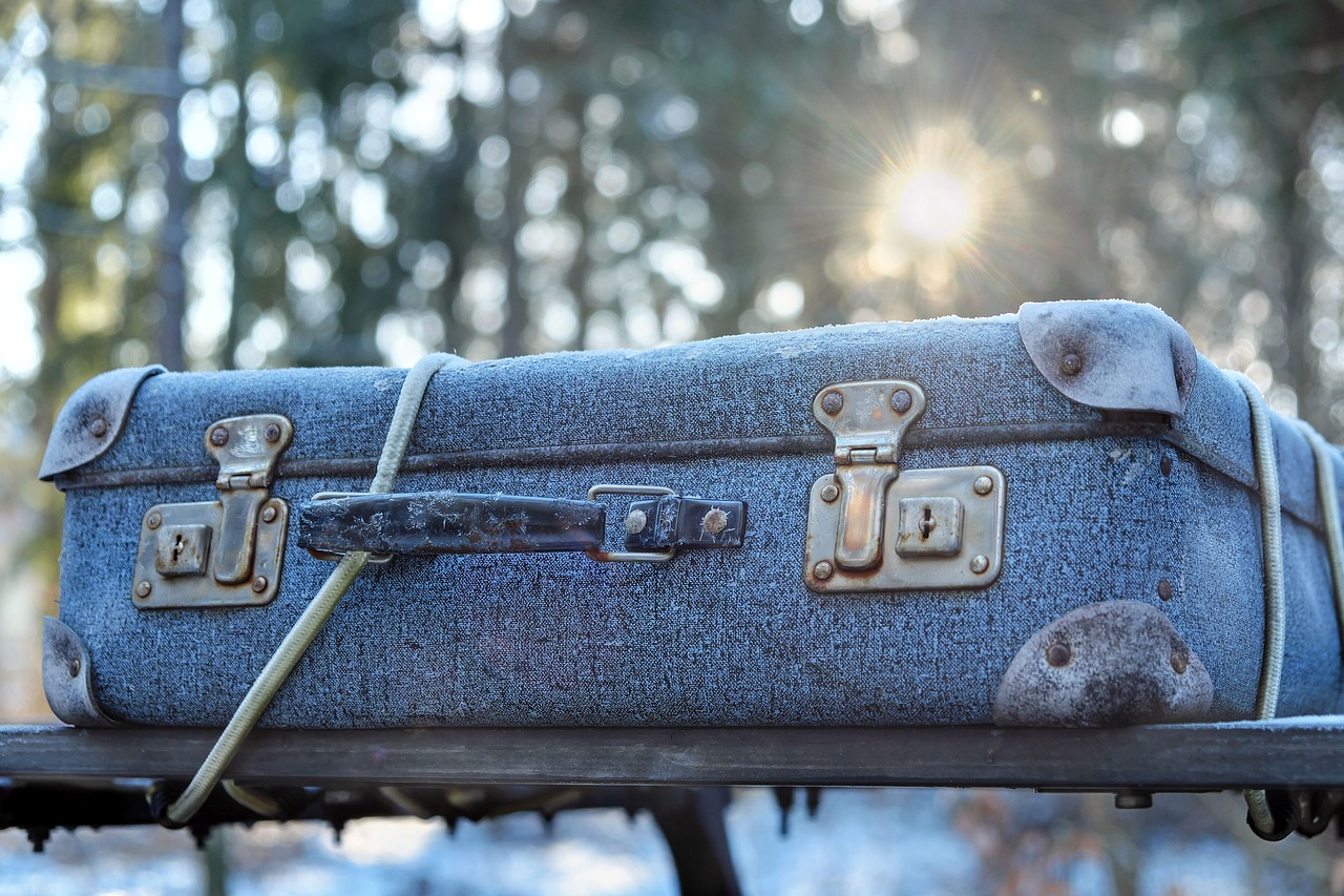 Un sac attaché sur le toit d'une voiture | Source : Pixabay