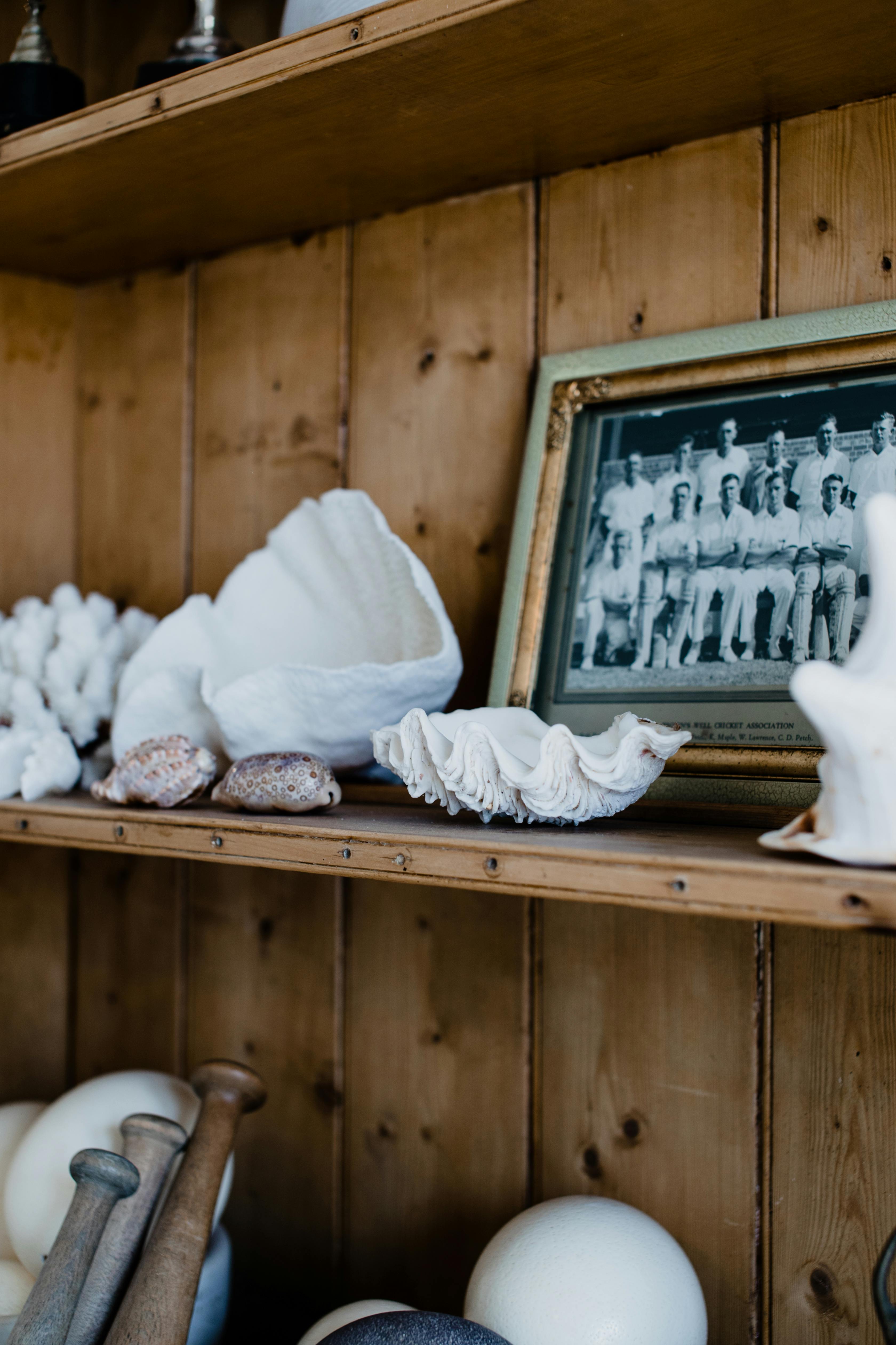 Une étagère avec des coquillages et un cadre photo | Source : Pexels