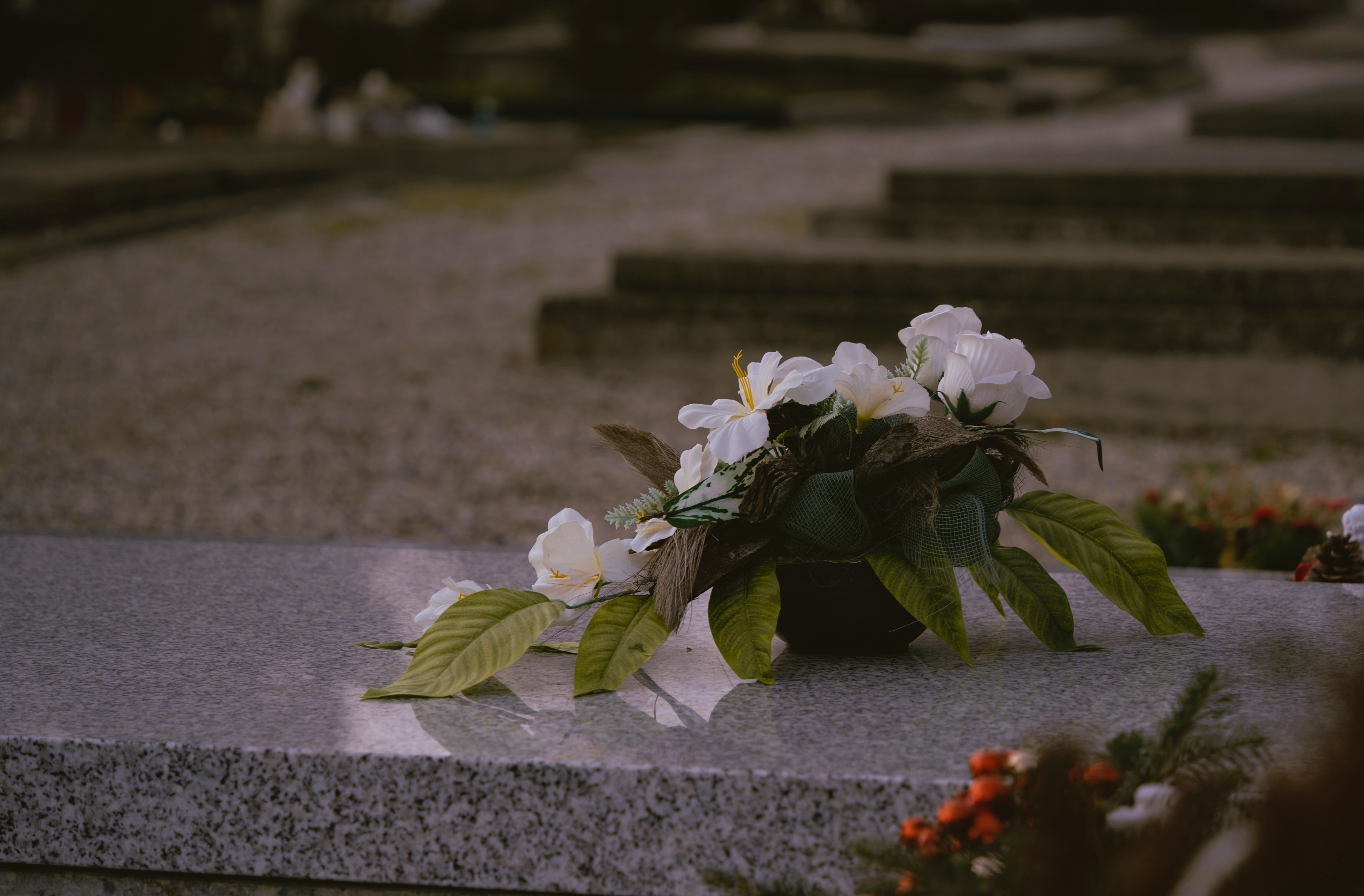 Edgar a vu la femme déposer des fleurs sur la tombe de Caroline. | Source : Unsplash