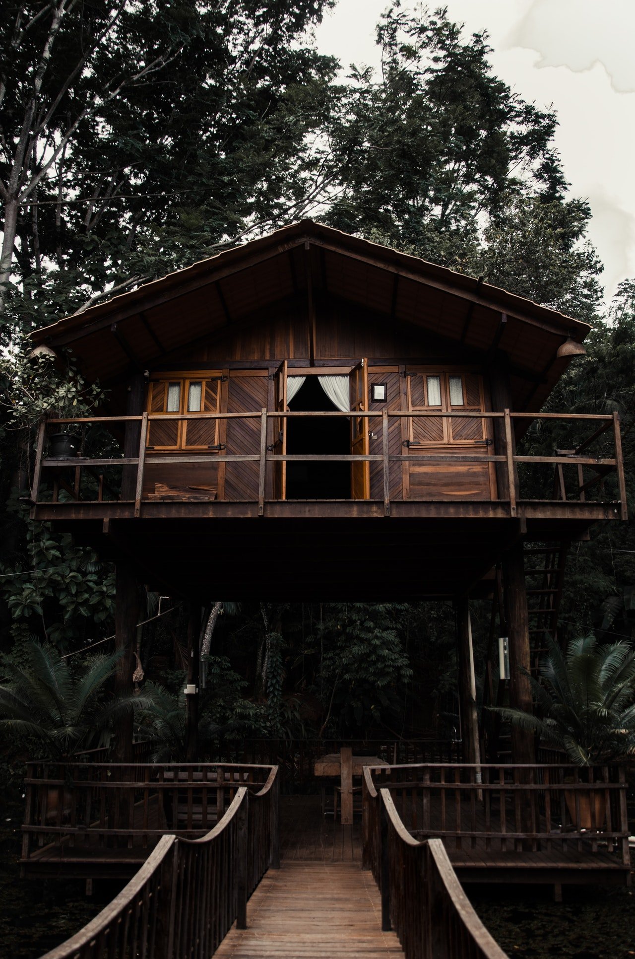 Une maison dans la forêt. | Photo : Pexels