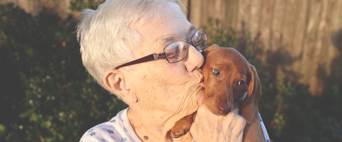 Une mamie embrassant un chiot. | Photo : Shutterstock
