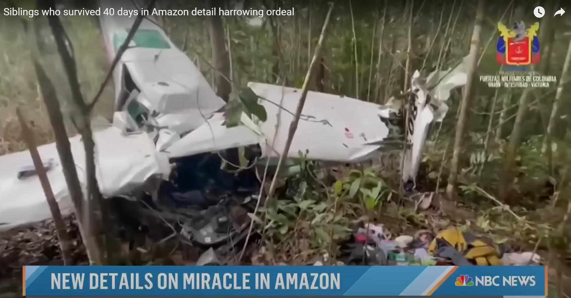 L'épave du Cessna 206 retrouvée à Araracuara, dans l'Amazonas, en mai 2023. | Source : YouTube/TODAY