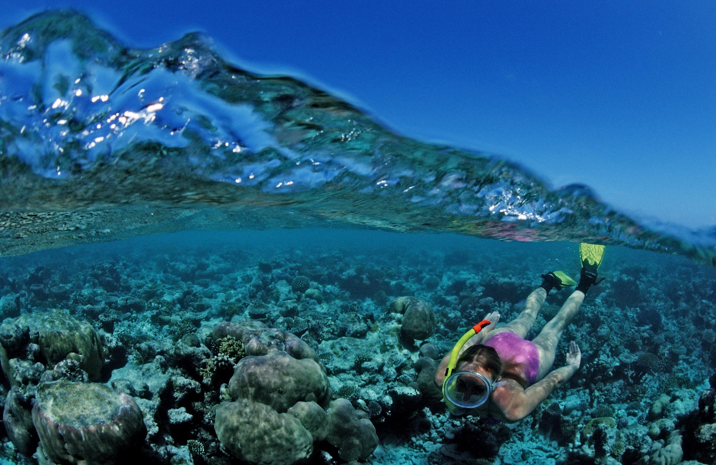 Plongée avec tuba dans les récifs coralliens des Maldives, dans l'océan Indien I Photo d'illustration I Source : Getty Images