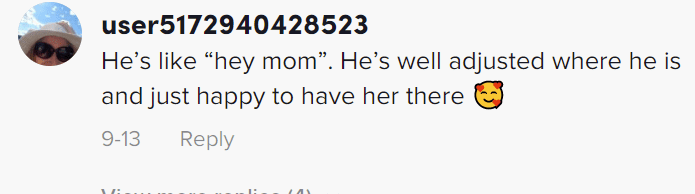 Commentaire d'un utilisateur sur la vidéo d'un adolescent atteint du syndrome de Down qui a rencontré sa mère. | Photo : tiktok.com/pinkertonboysadventures