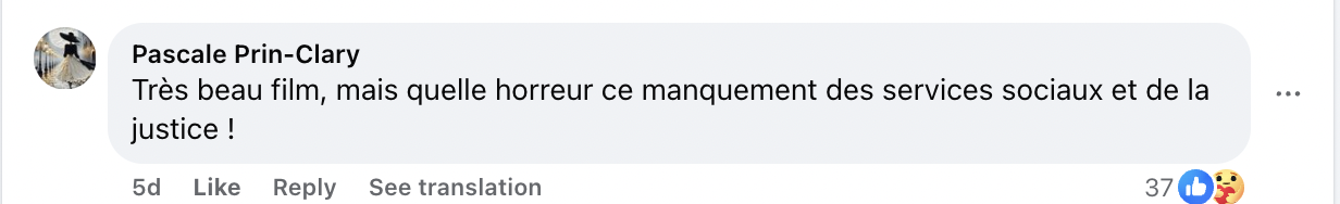 Commentaire d'une internaute concernant le téléfilm "Signalements" | Source : Facebook