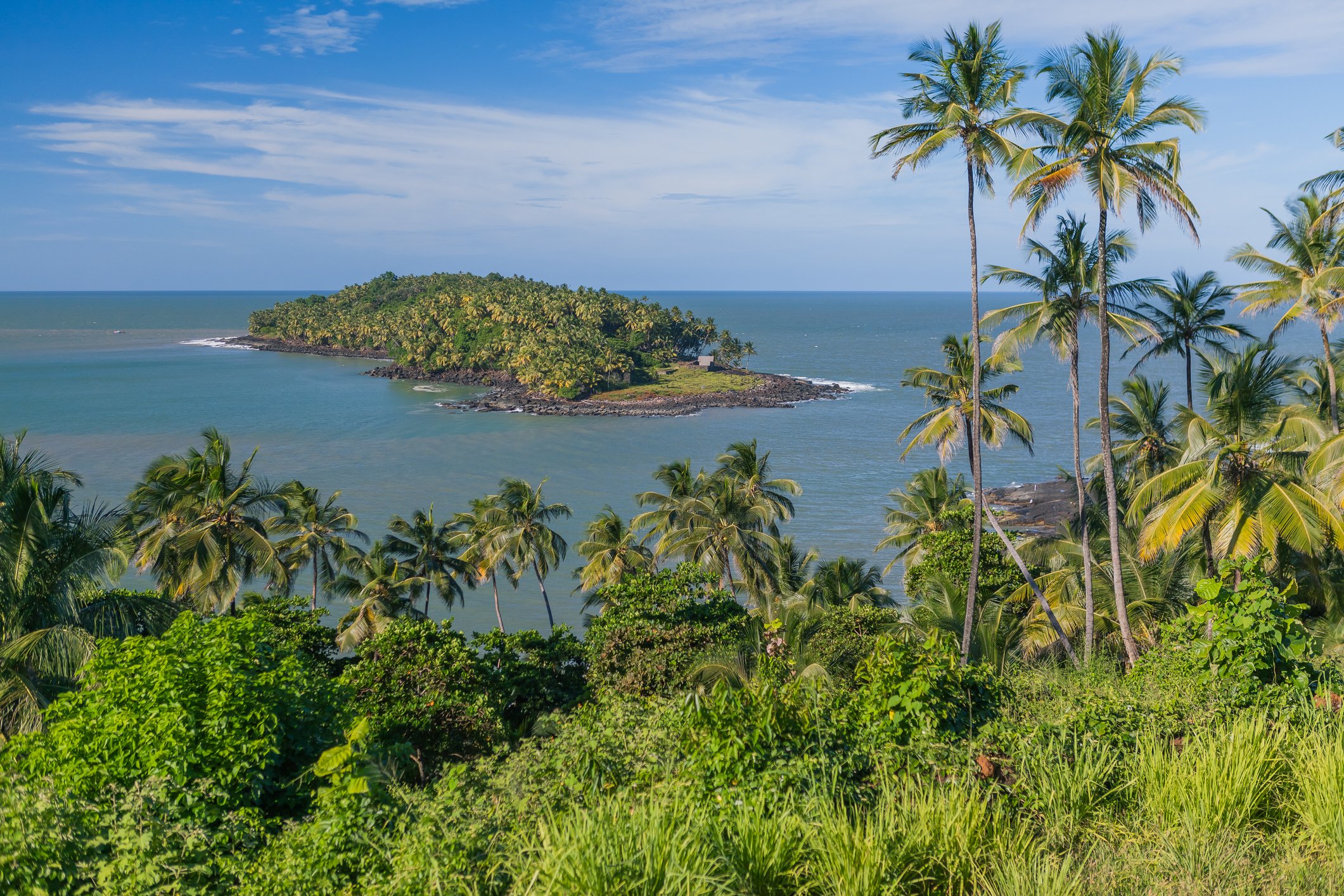 Paysage de la Guyane | Source : Getty Images