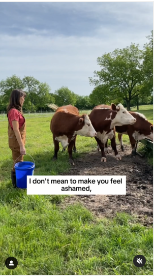 Jennifer Garner nourrit des vaches | Source : Instagram.com/jennifer.garner/