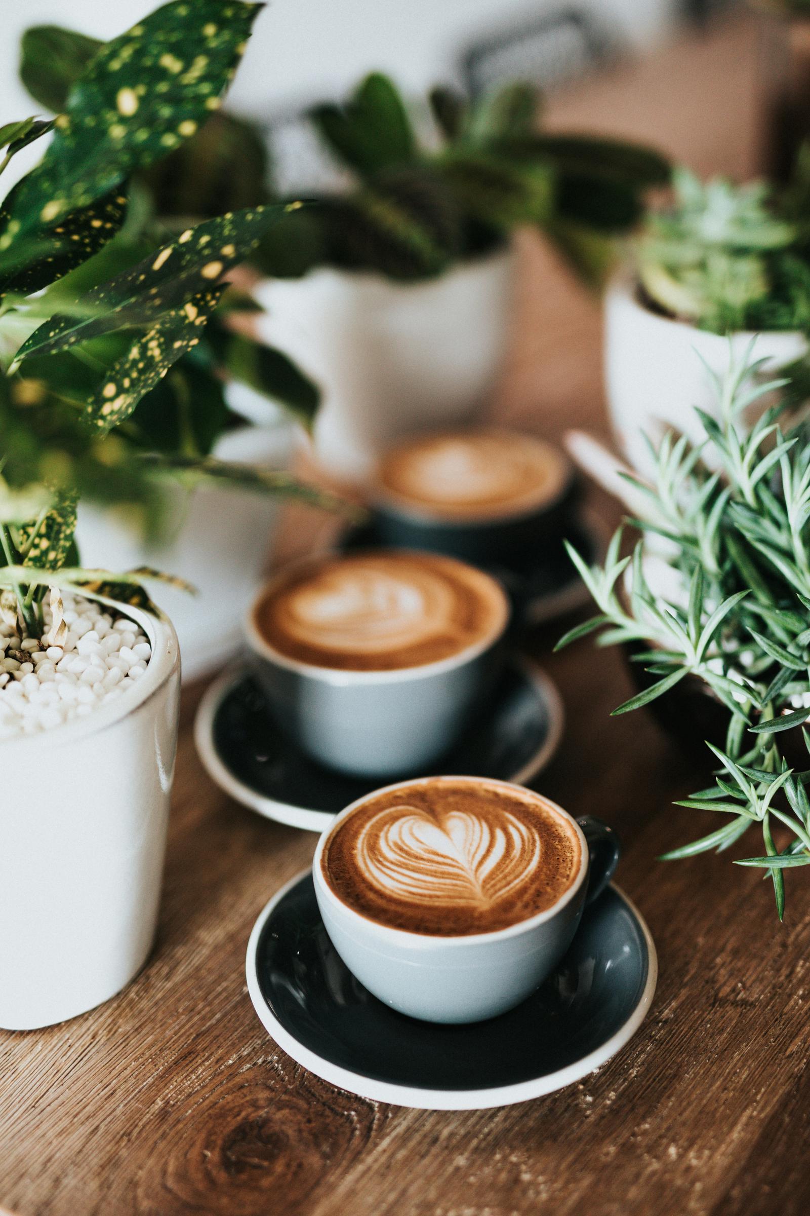 Plusieurs tasses de café sur une table | Source : Unsplash