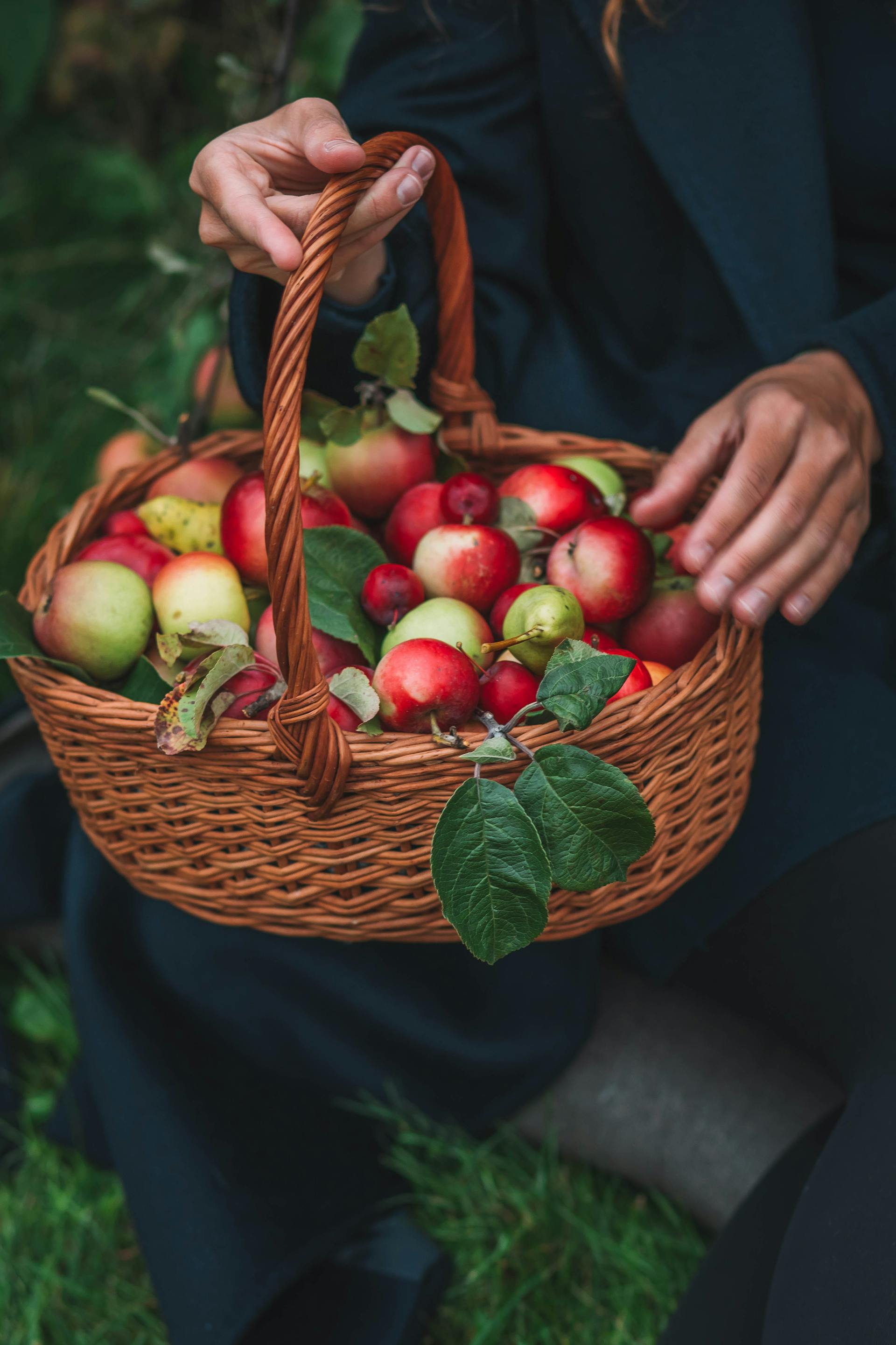 Une femme tenant un panier de pommes | Source : Pexels