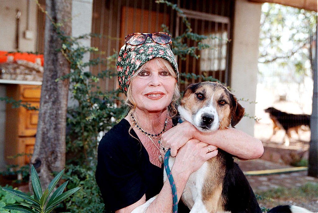 Brigitte Bardot aime les animaux. | Photo : Getty Images