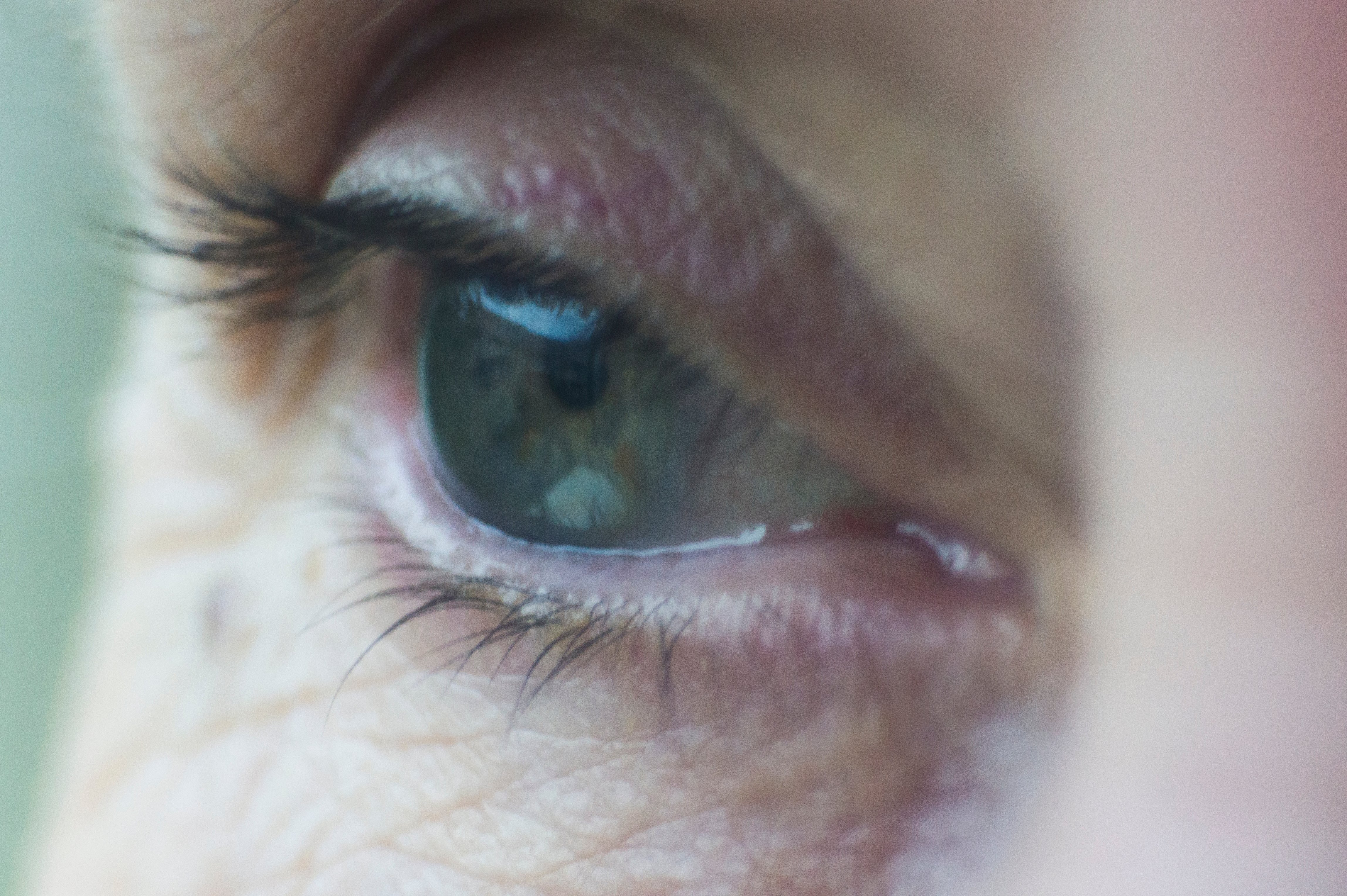 L'œil d'une femme en gros plan | Photo : Shutterstock